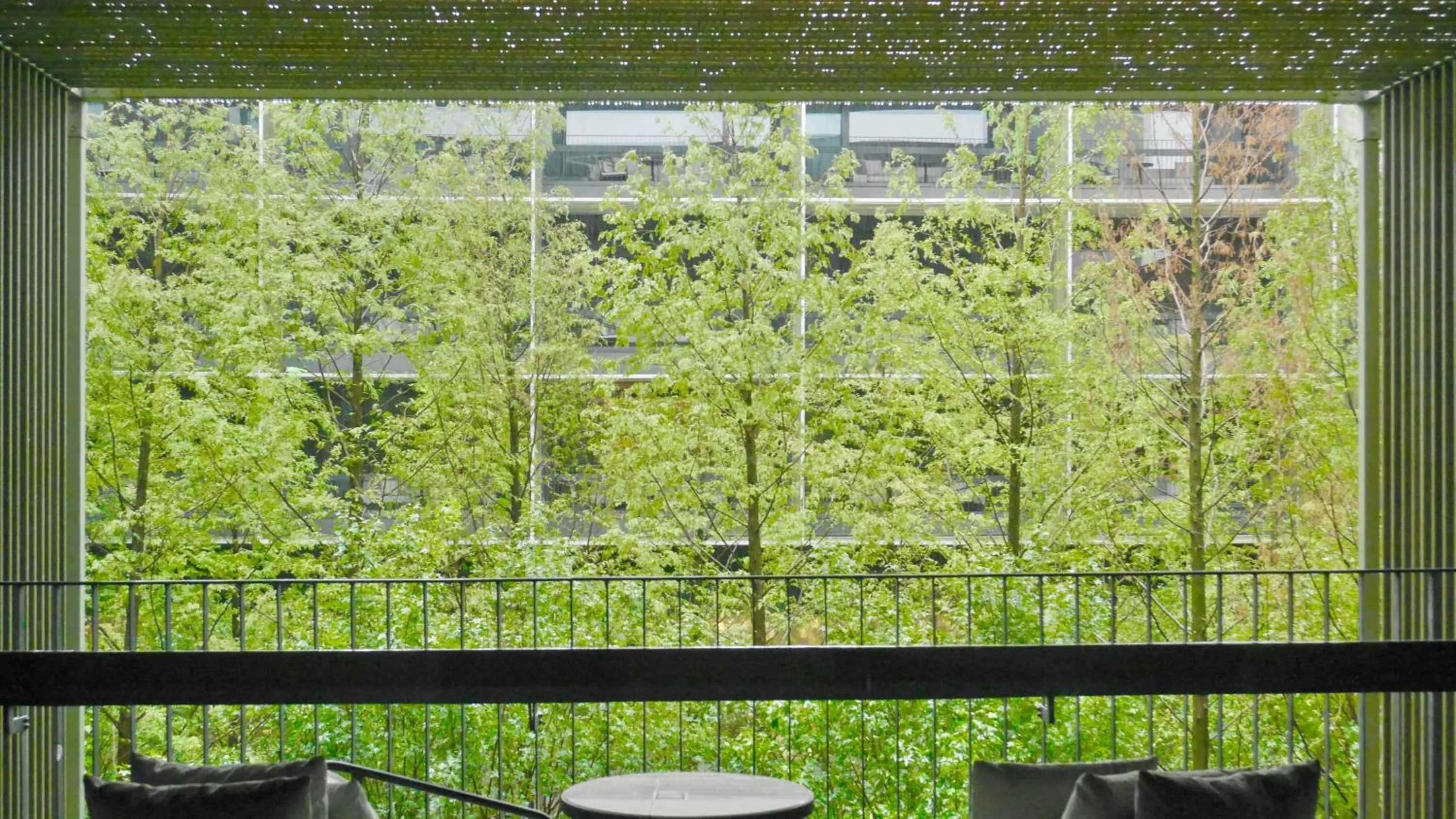 View (from property/room) in Nanjing, Jiangning, Autograph Collection