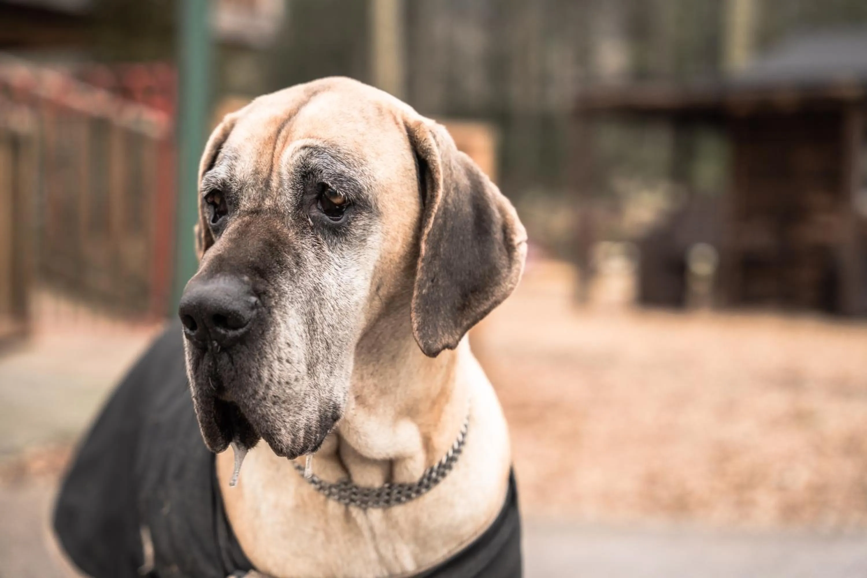 Property building in Greenvale Cabins