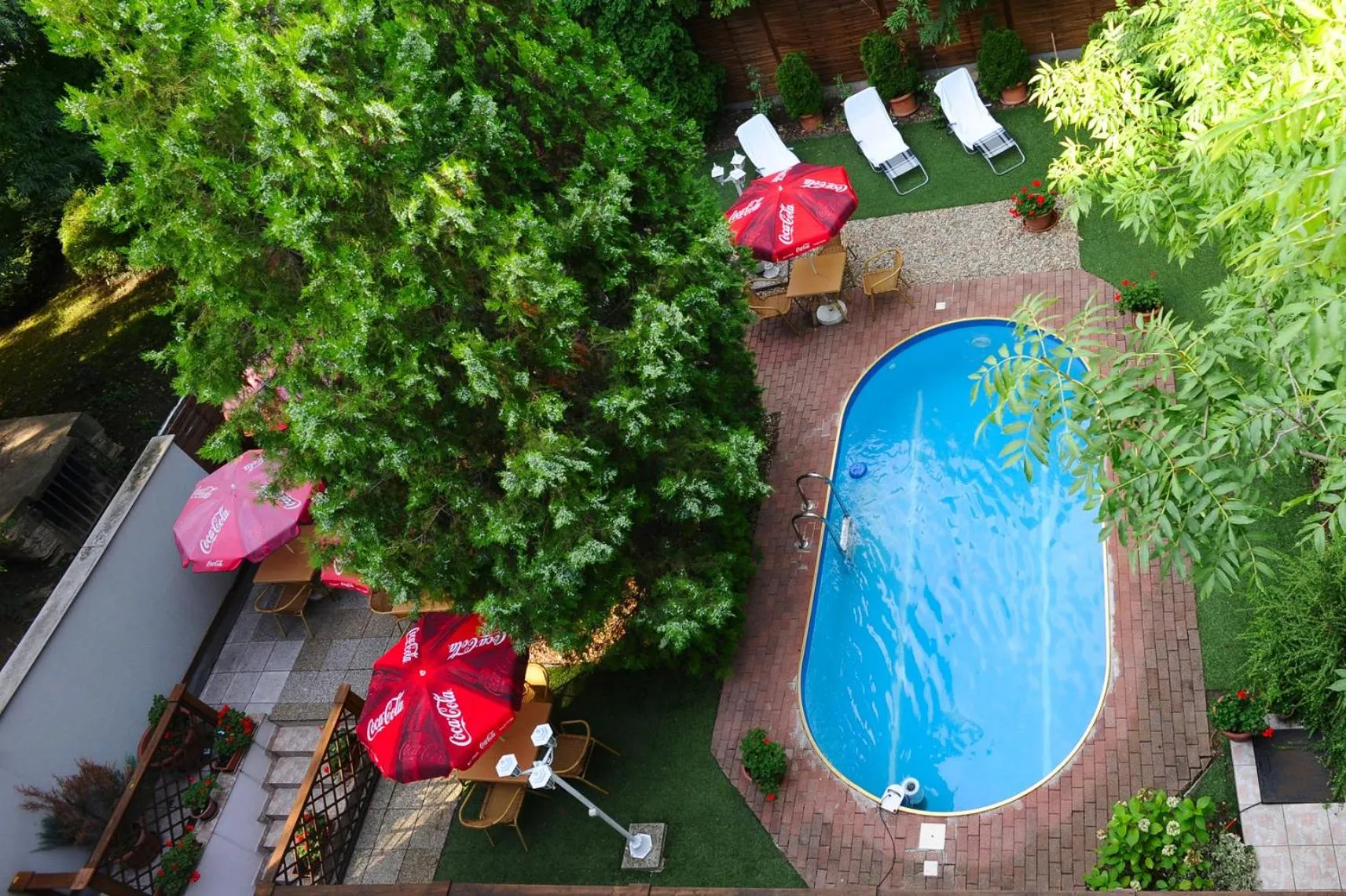 Garden, Pool View in Hotel Papillon