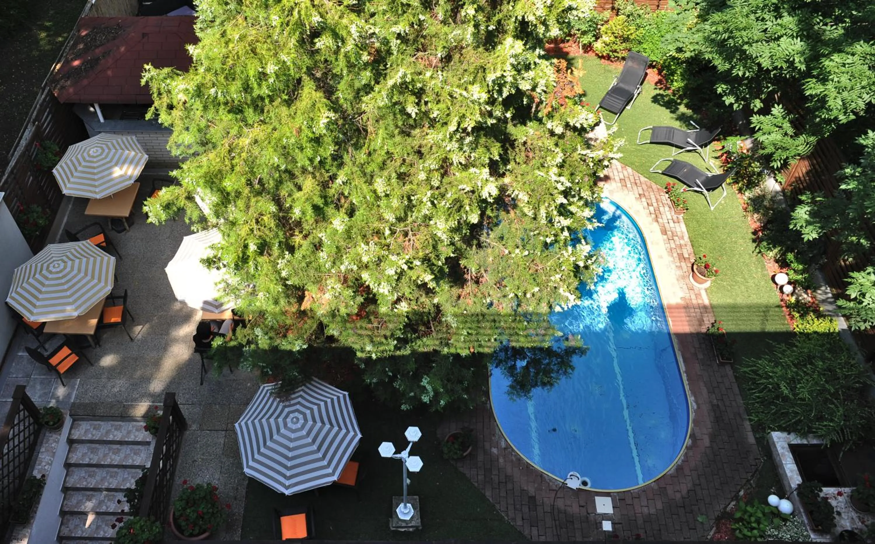 Pool View in Hotel Papillon