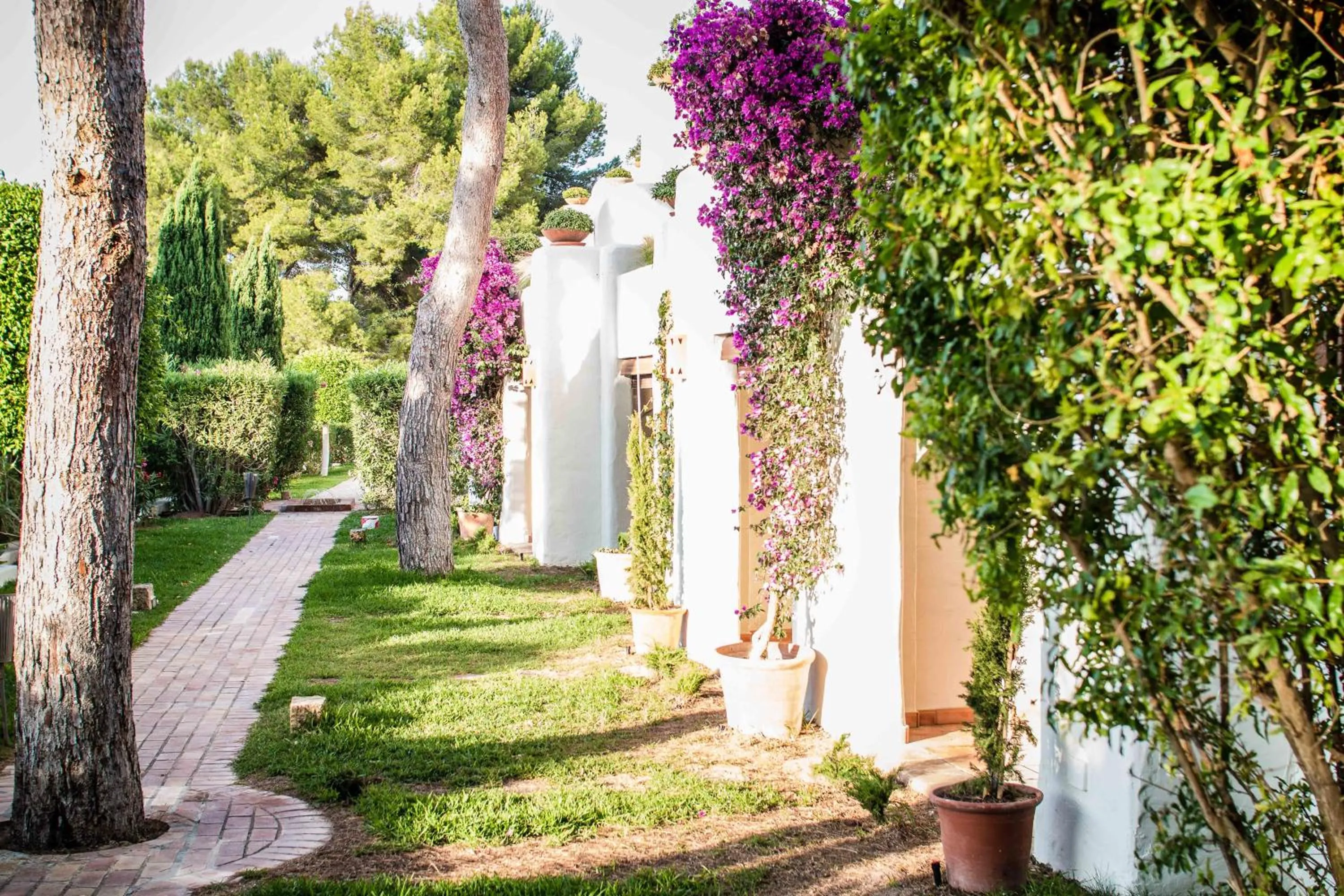 Garden in Hotel Ritual de Terra & SPA