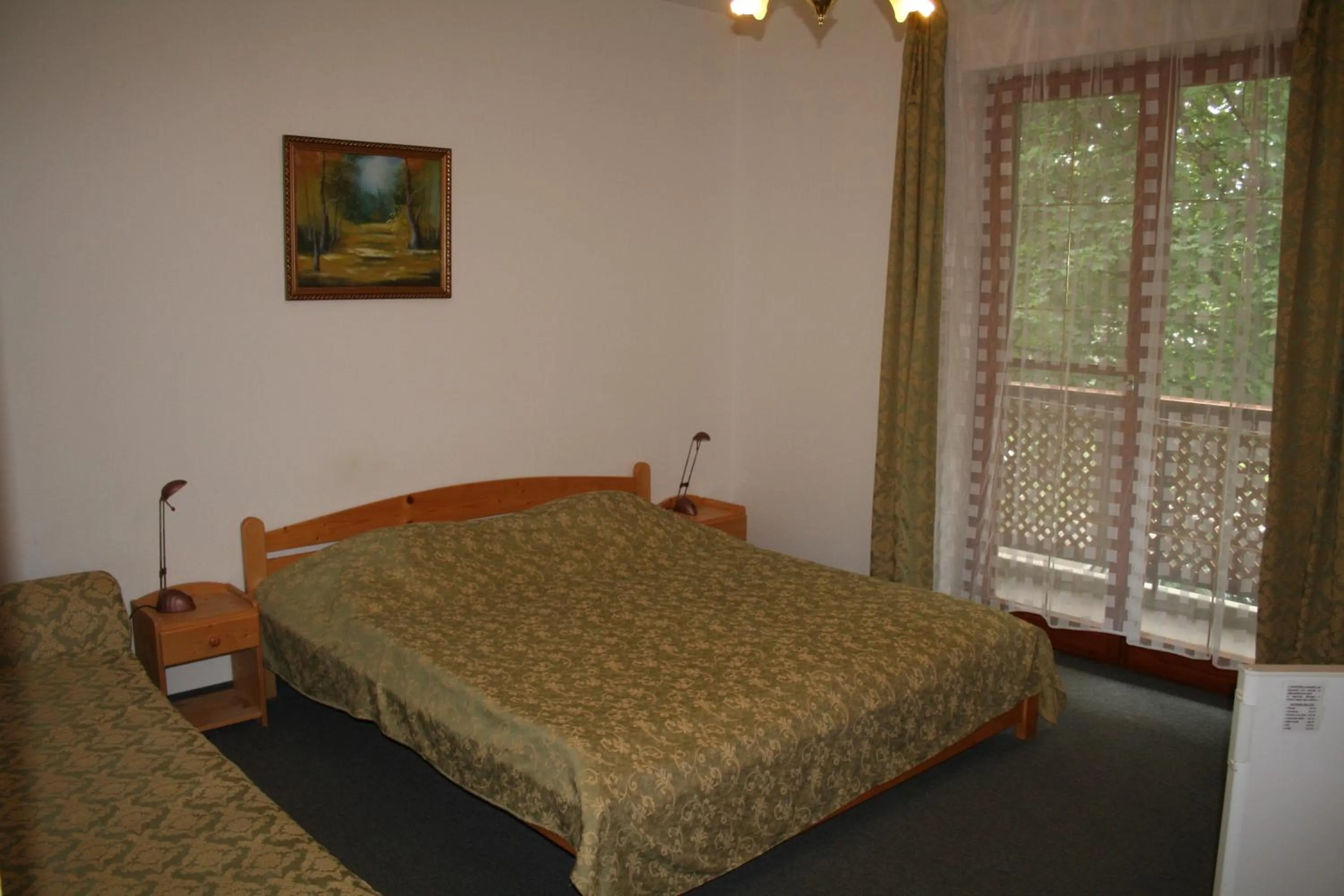 Photo of the whole room in Hotel Hajnal