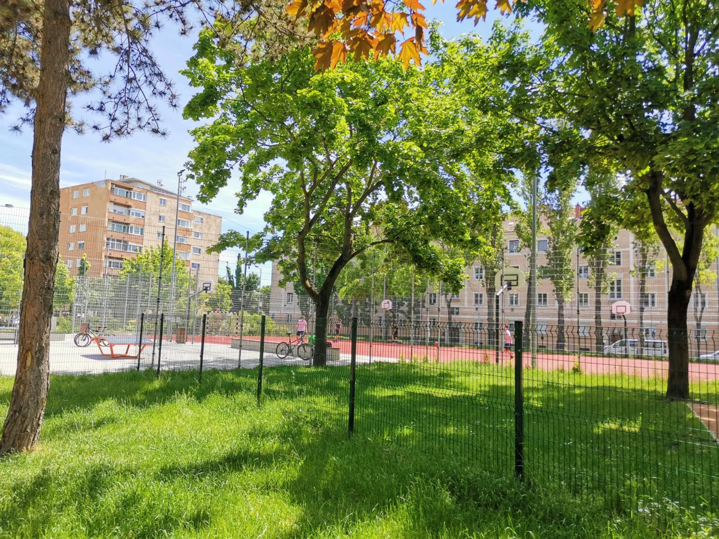 Activities in Alfa Hotel