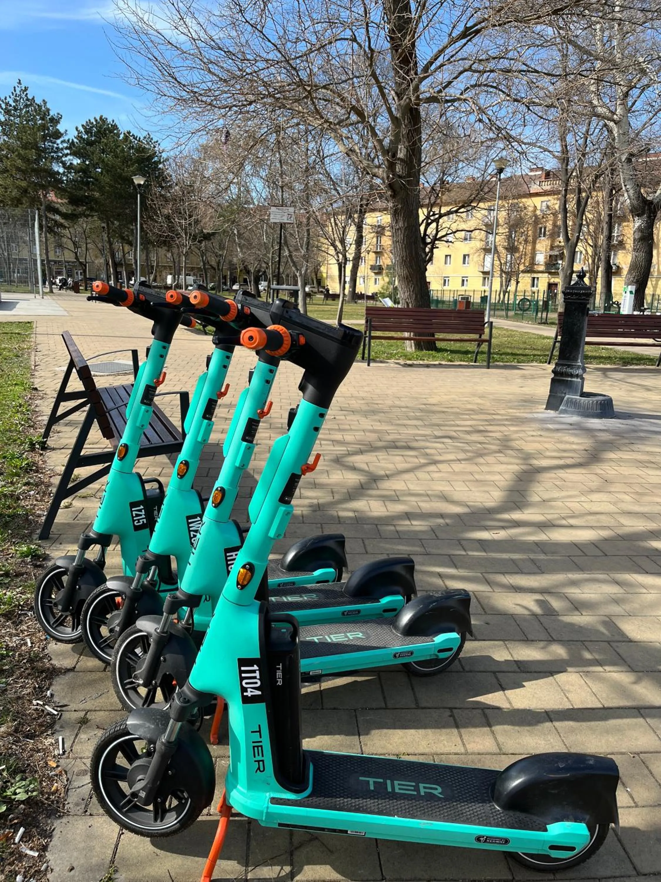 Sports in Alfa Hotel