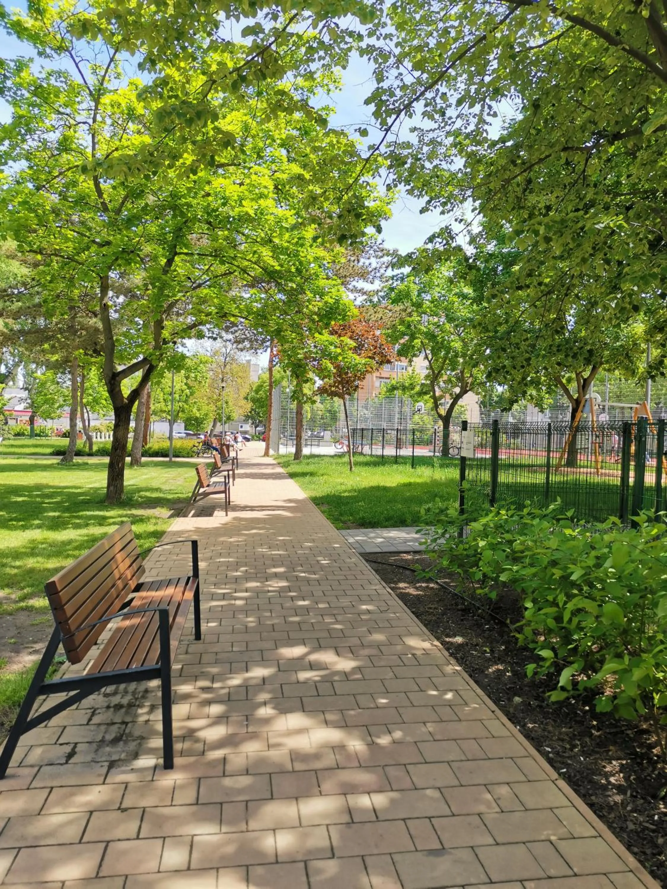 Garden in Alfa Hotel