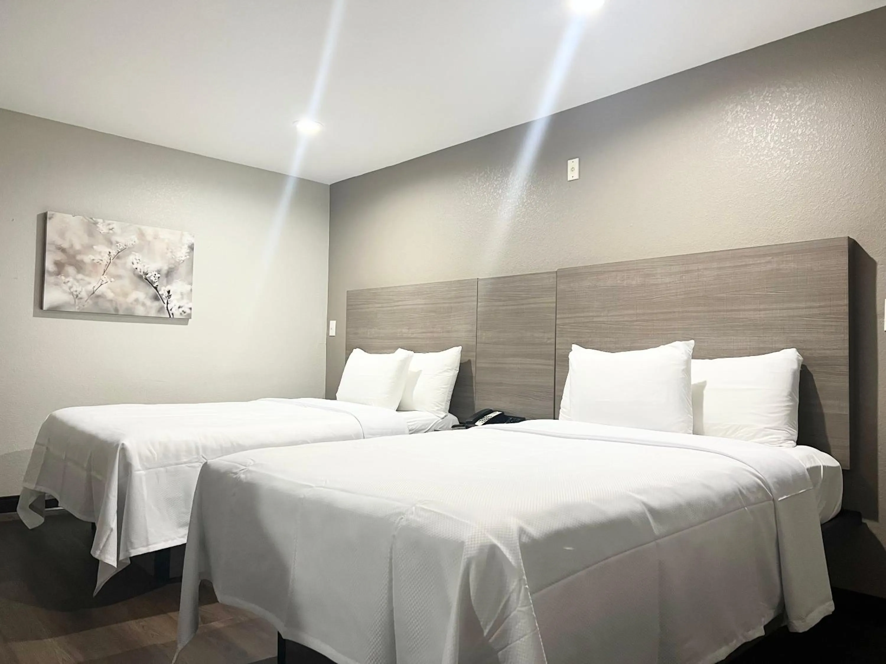 Bed in Red Roof Inn & Suites Wildwood, FL