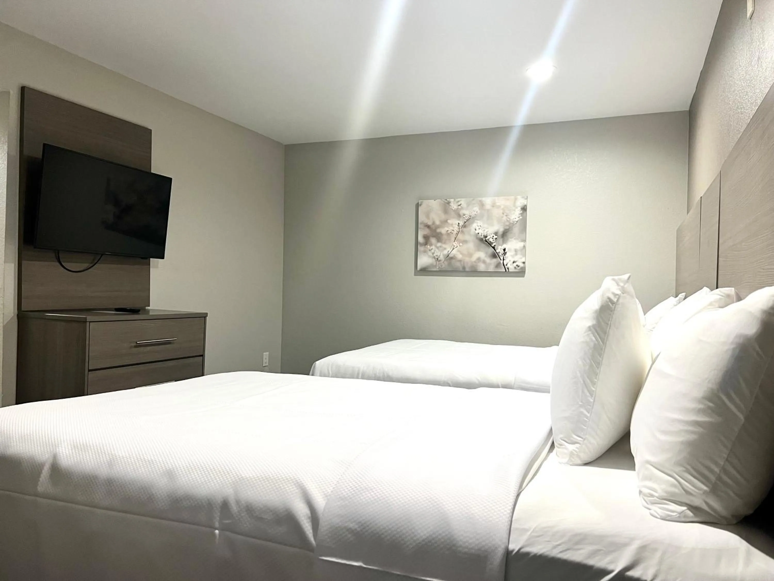 Bed in Red Roof Inn & Suites Wildwood, FL