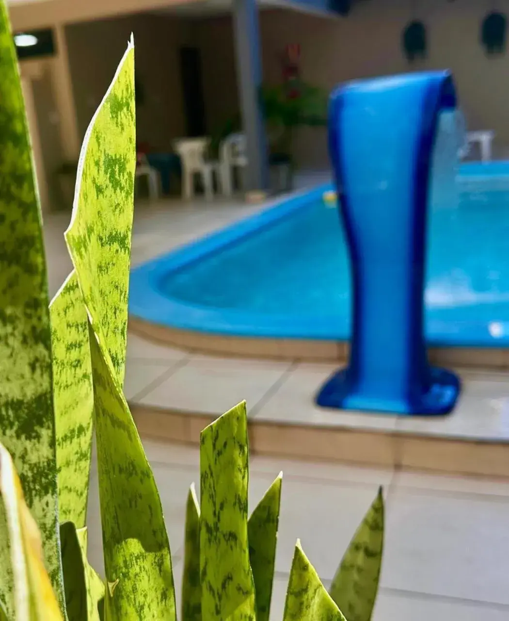 Hotel Pousada Alagoana Hotel Pousada Alagoana