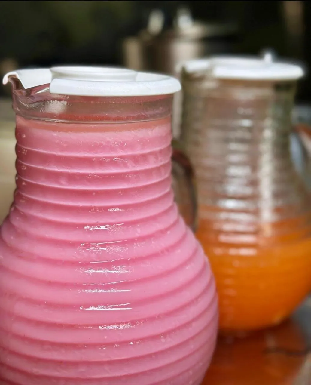 Hotel Pousada Alagoana