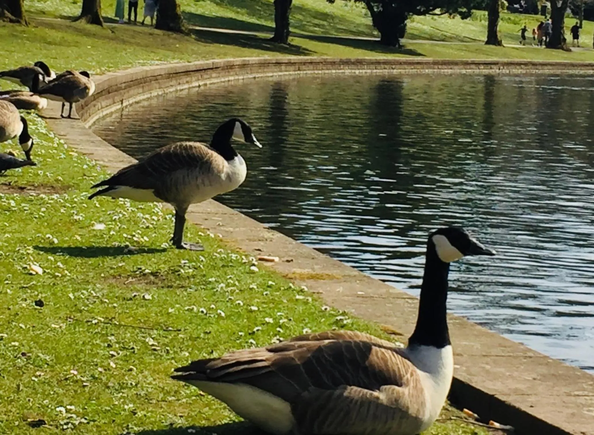 Neighbourhood in Kingscroft