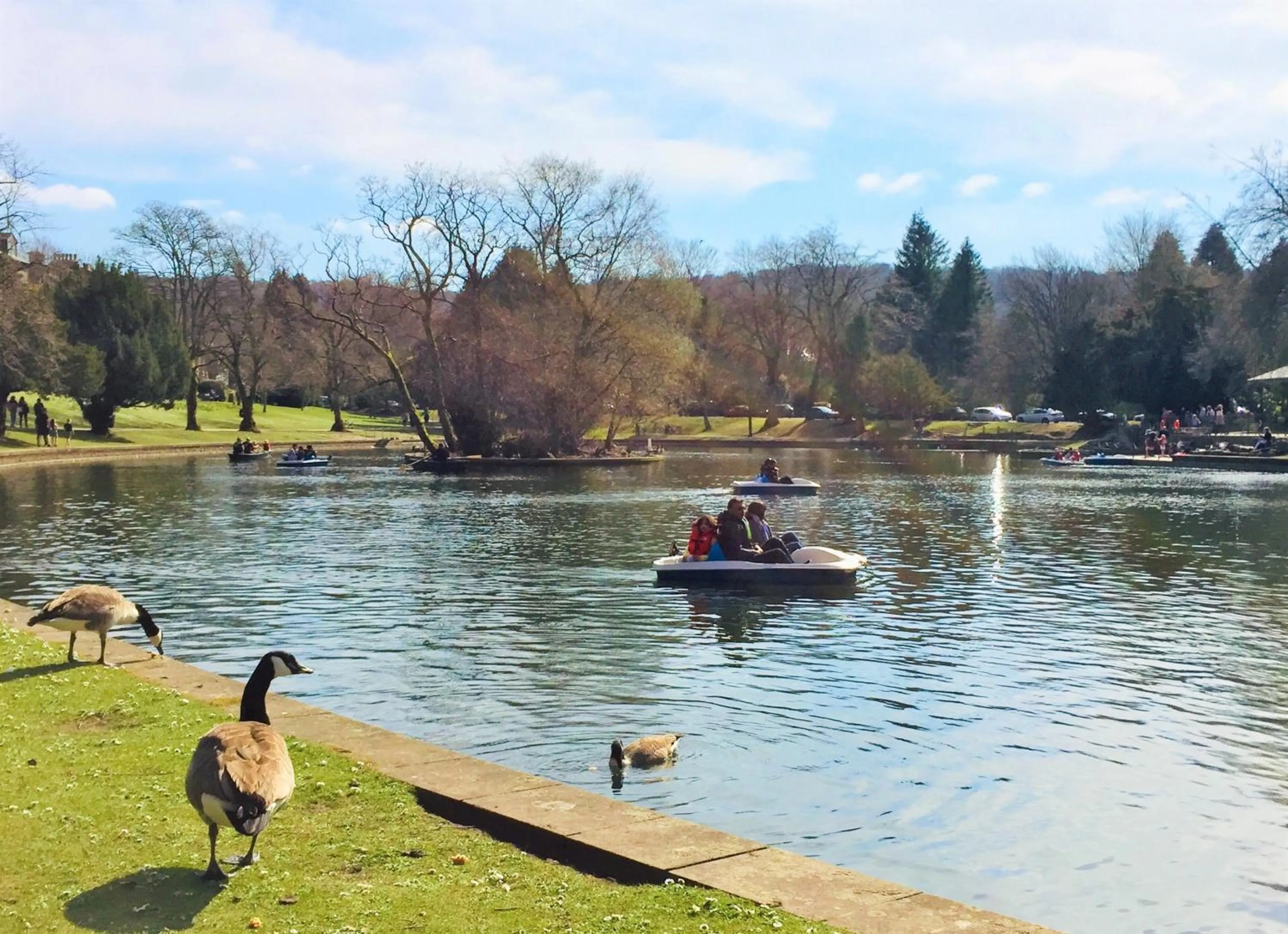 Activities in Kingscroft