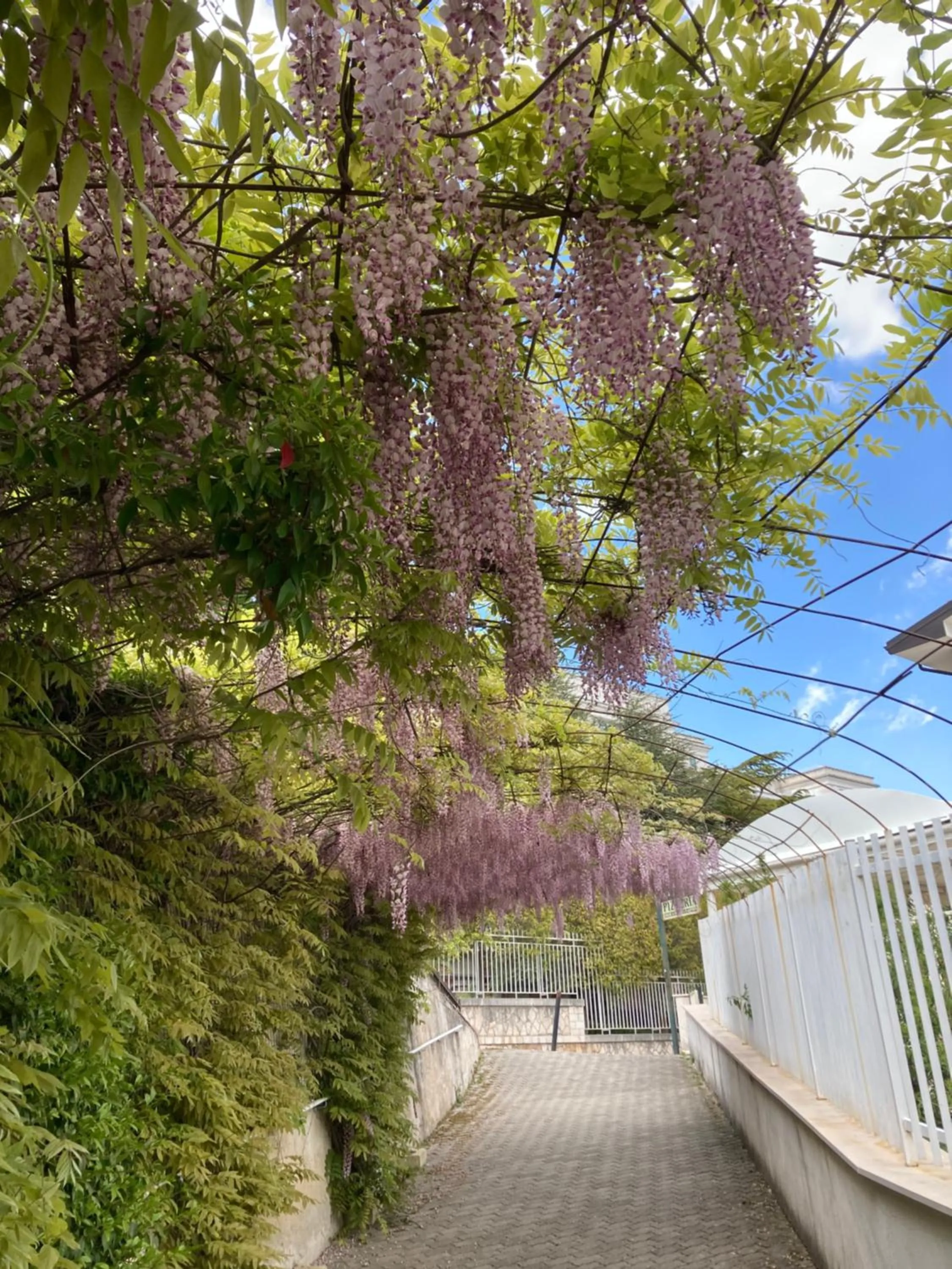 Property building in Albergo pensione Bianco