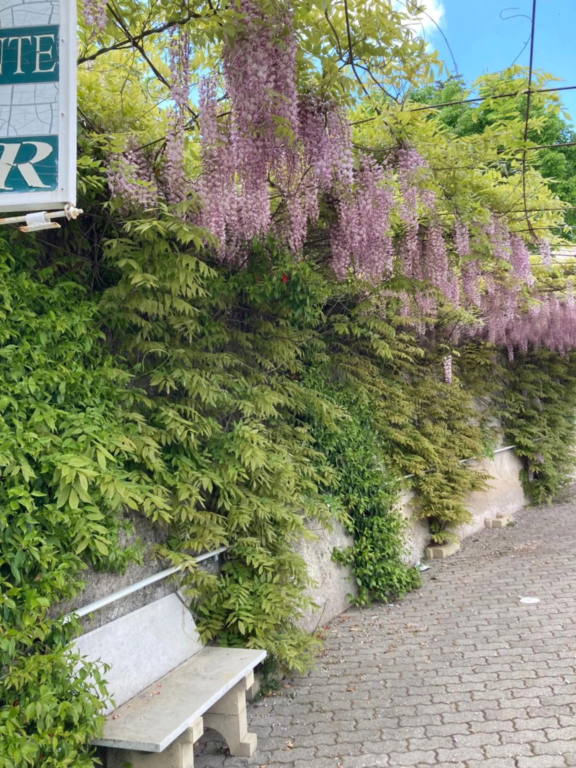 Garden in Albergo pensione Bianco