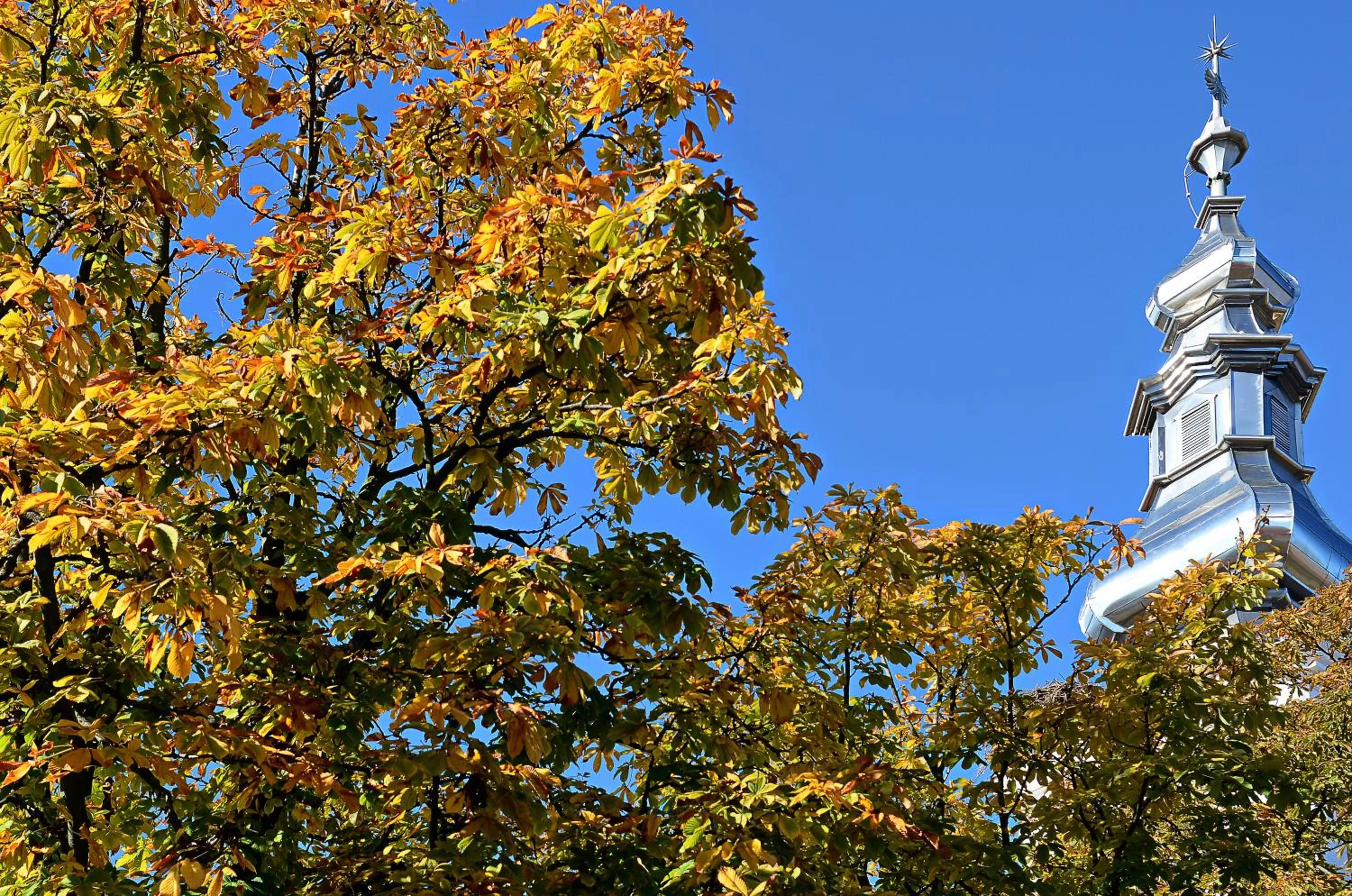 Area and facilities in Ametiszt Hotel Harkány