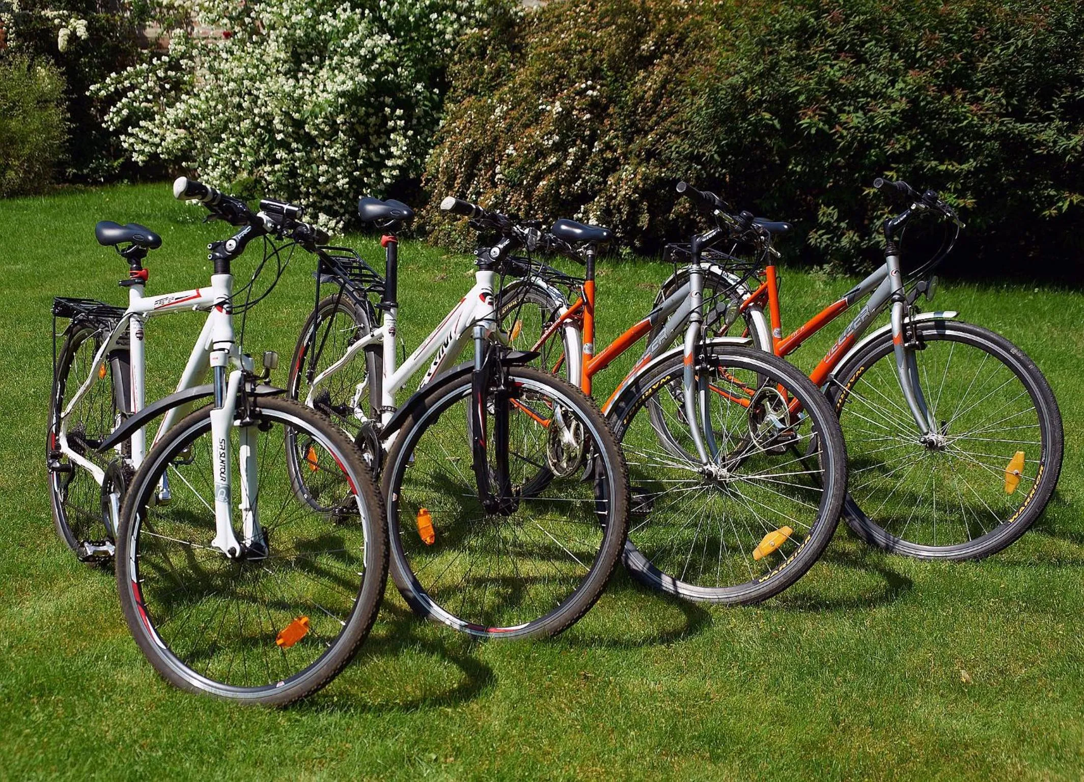Cycling in Ametiszt Hotel Harkány