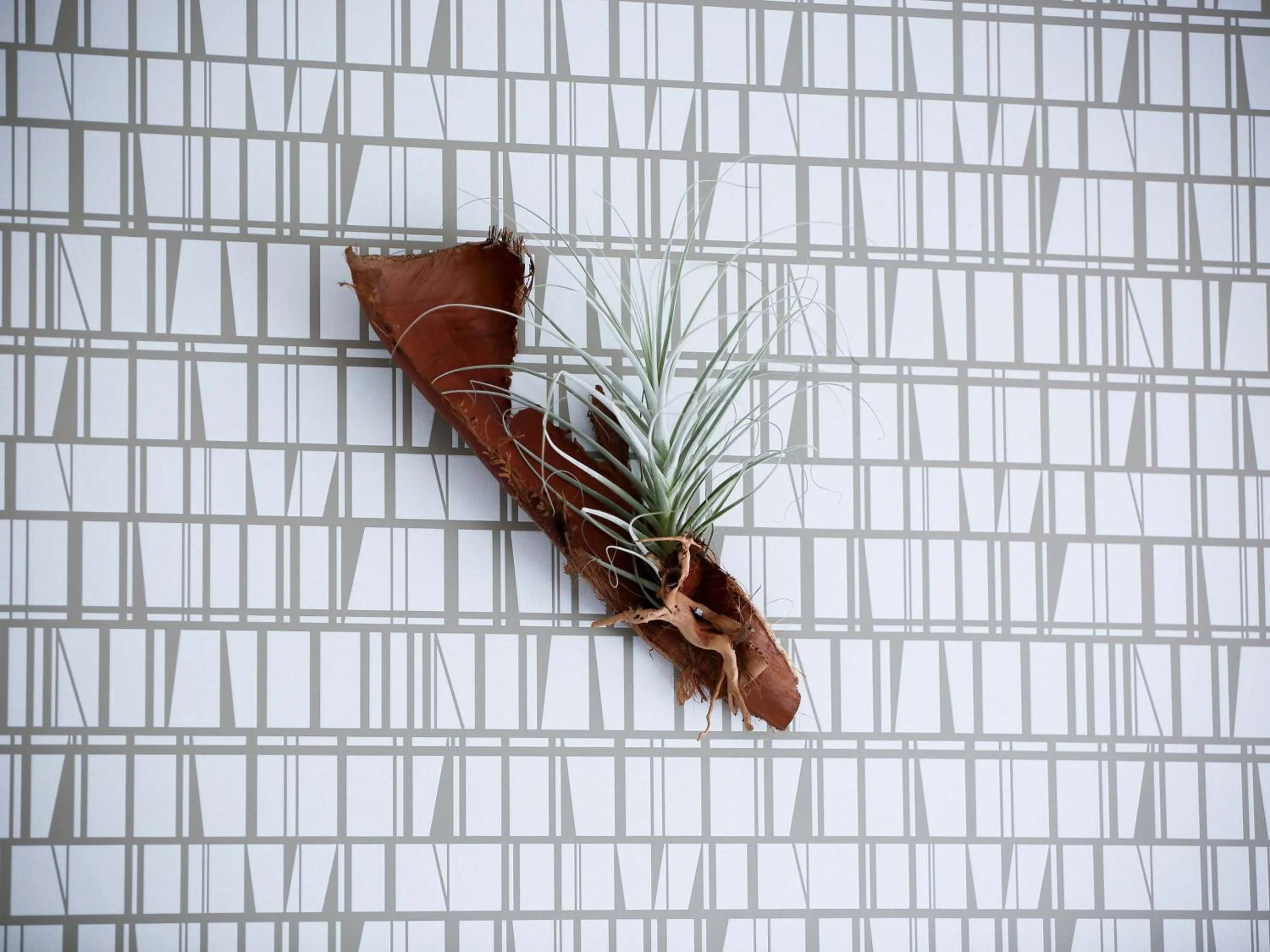 Decorative detail in tune HIGORO