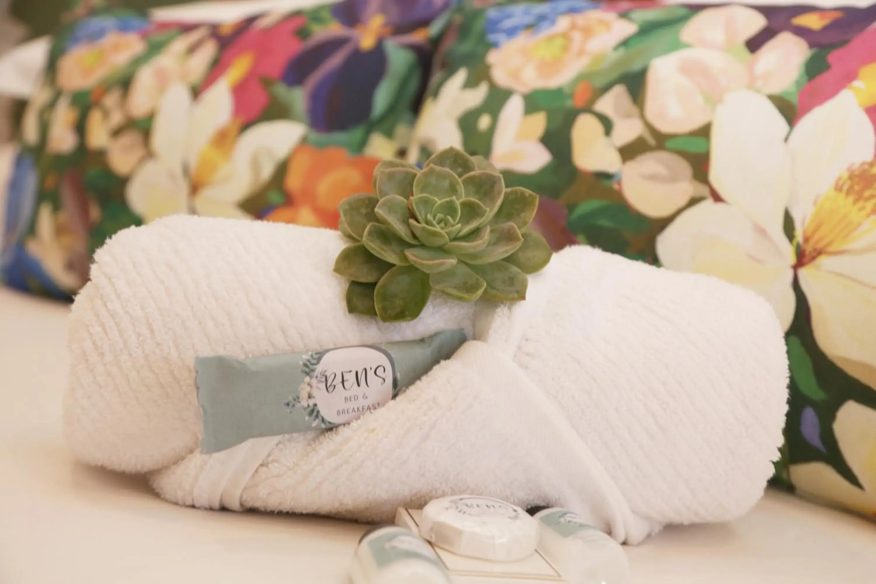 Deluxe Double Room - single occupancy in Ben's Bed and Breakfast Deluxe Double Room - single occupancy in Ben's Bed and Breakfast