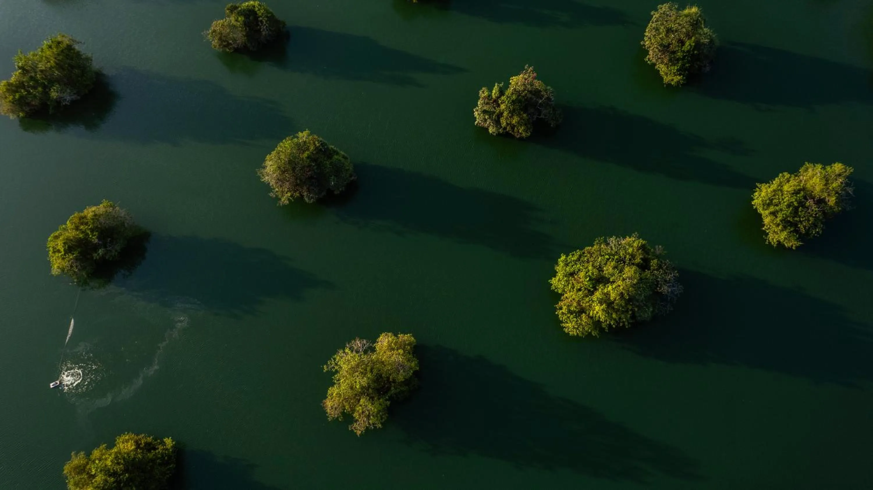 Natural landscape in Bali Sunshine Nusa Dua