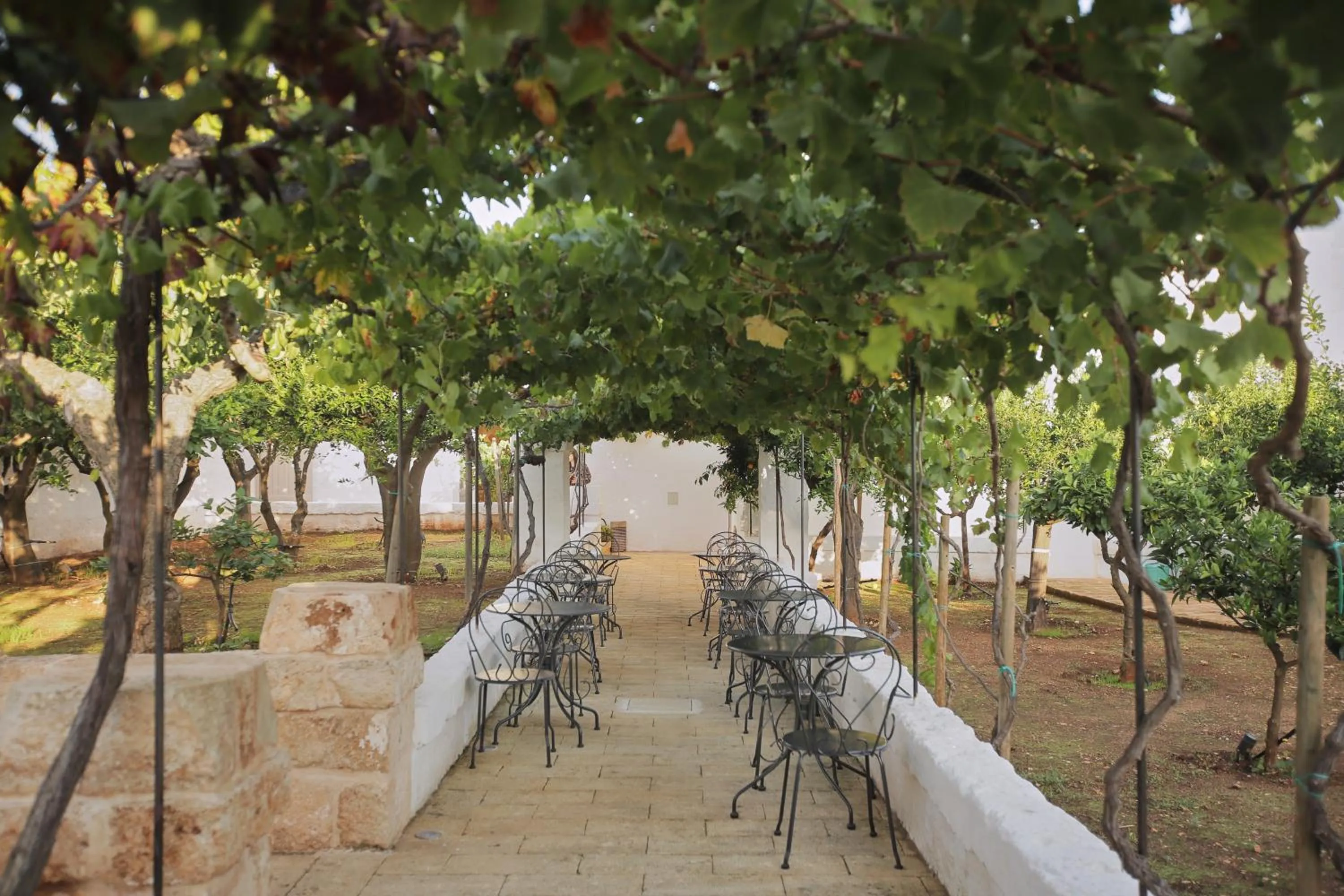Garden in Masseria Villa Verde