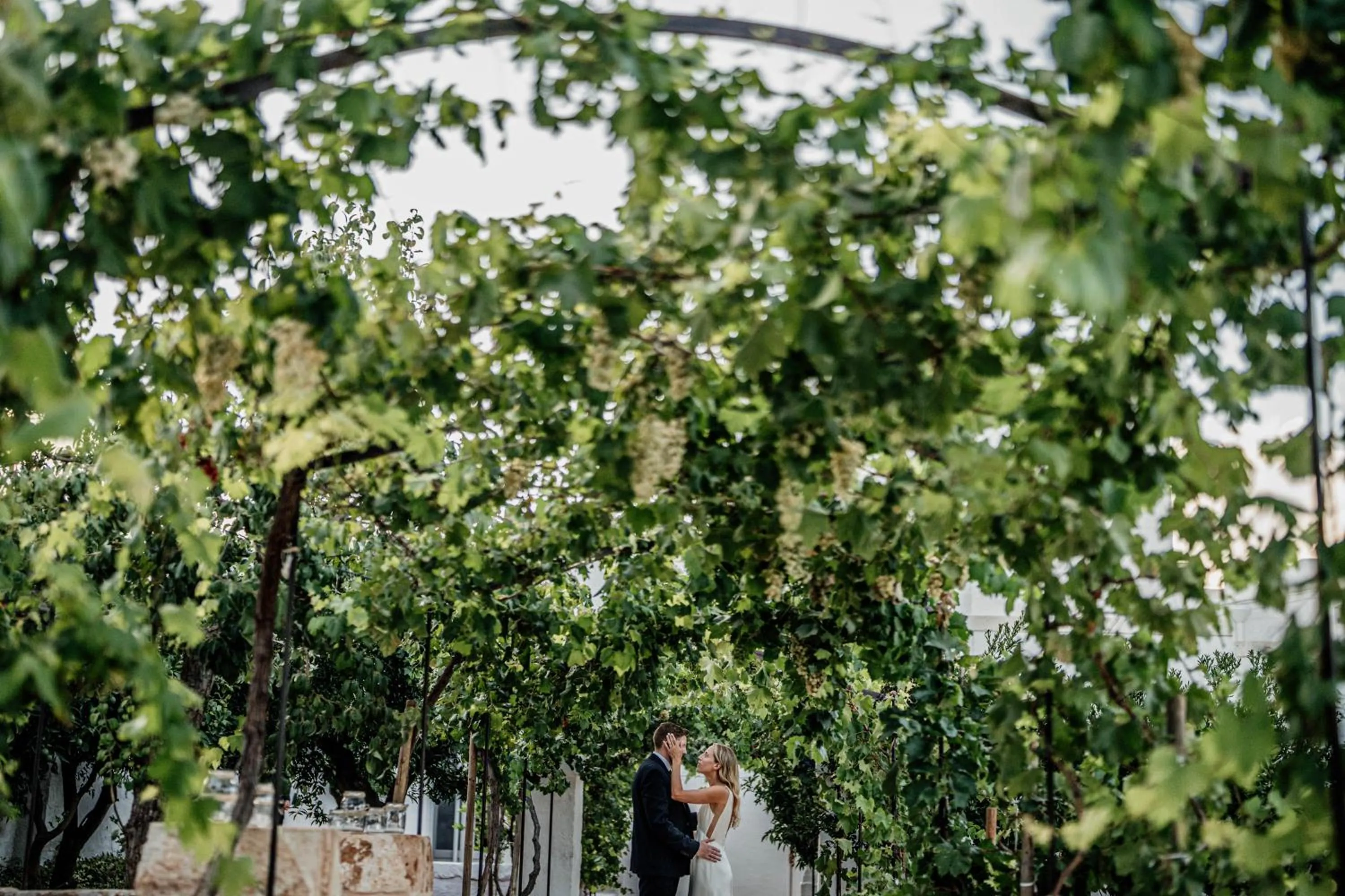 Garden in Masseria Villa Verde