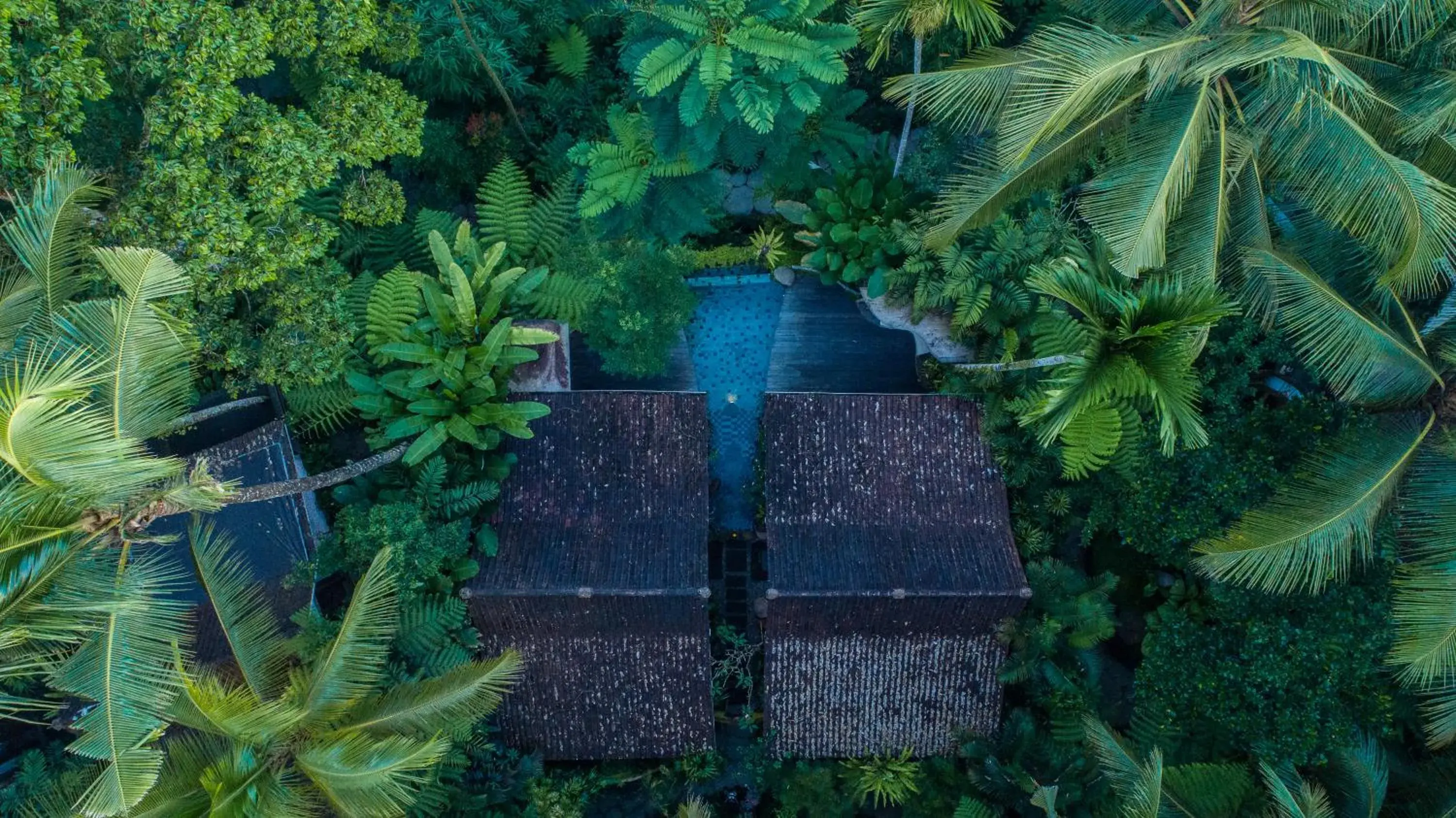 Pool view in Pramana Giri Kusuma Pool view in Pramana Giri Kusuma