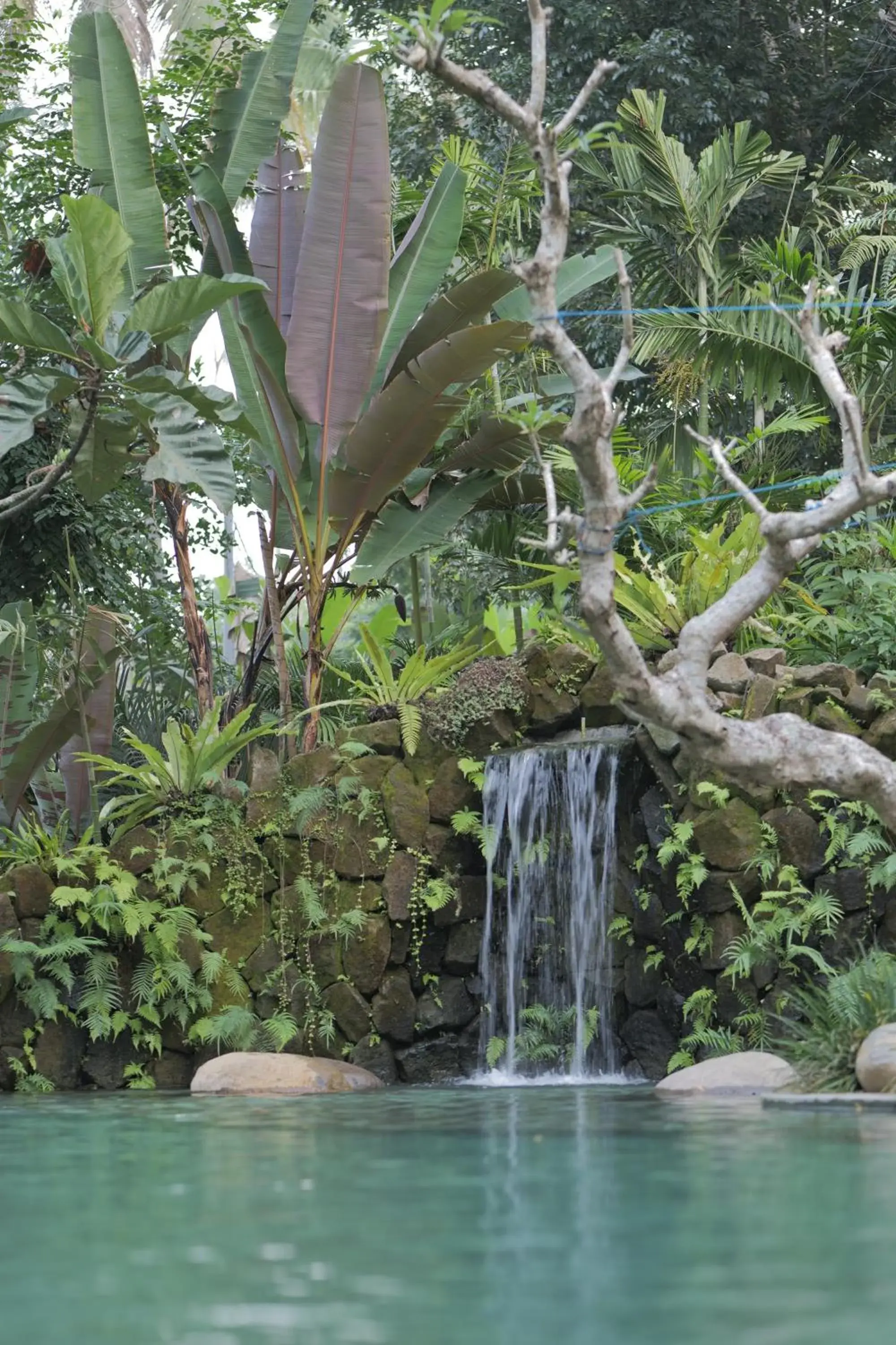 Swimming pool in Pramana Giri Kusuma Swimming pool in Pramana Giri Kusuma