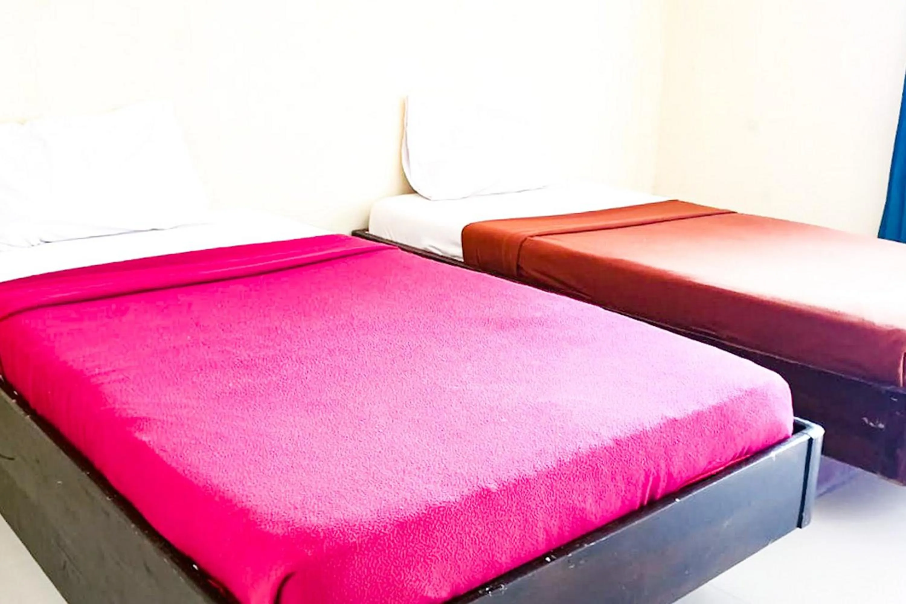 Ben Hill Bromo at Desa Wisata Bromo