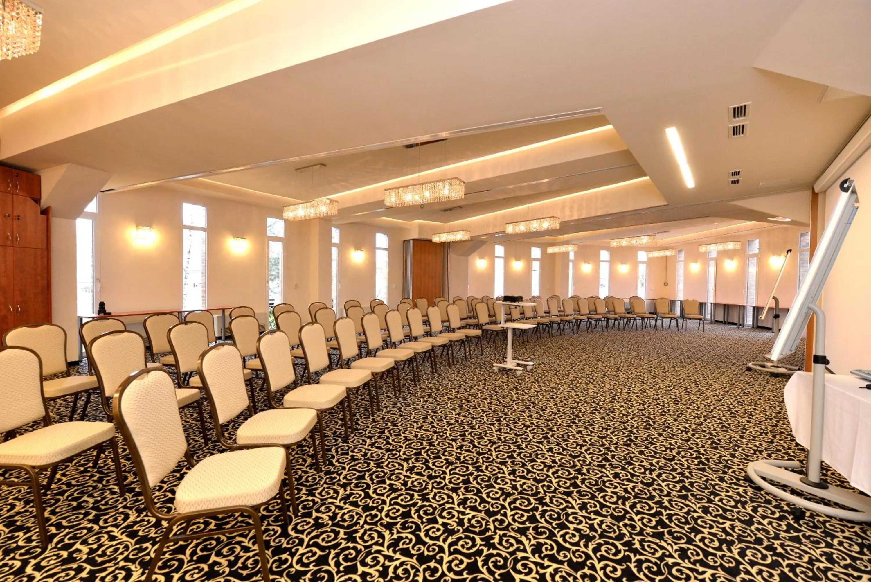Business facilities in Residence Hotel Balaton