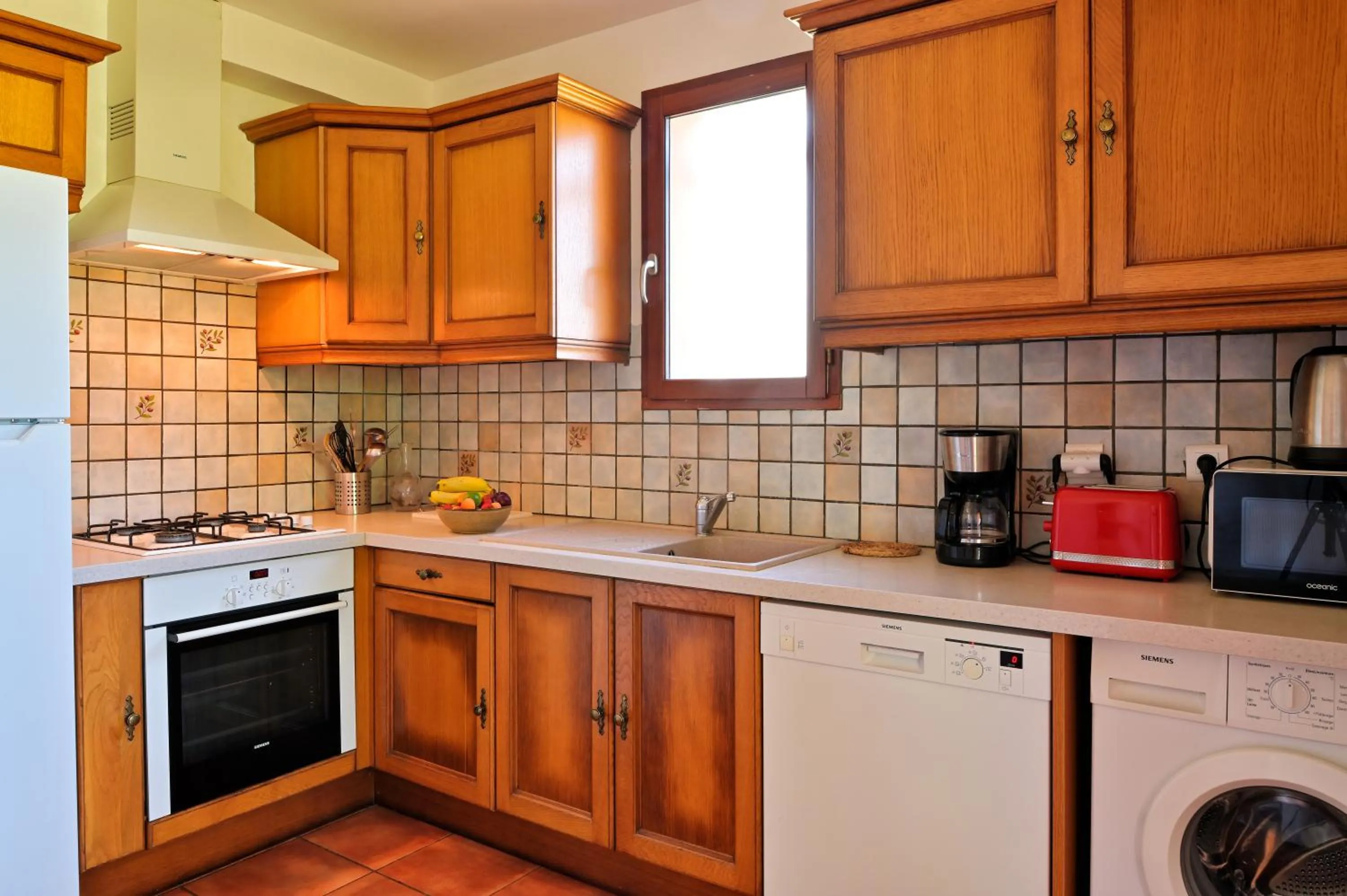 dishwasher in Pinea Mare