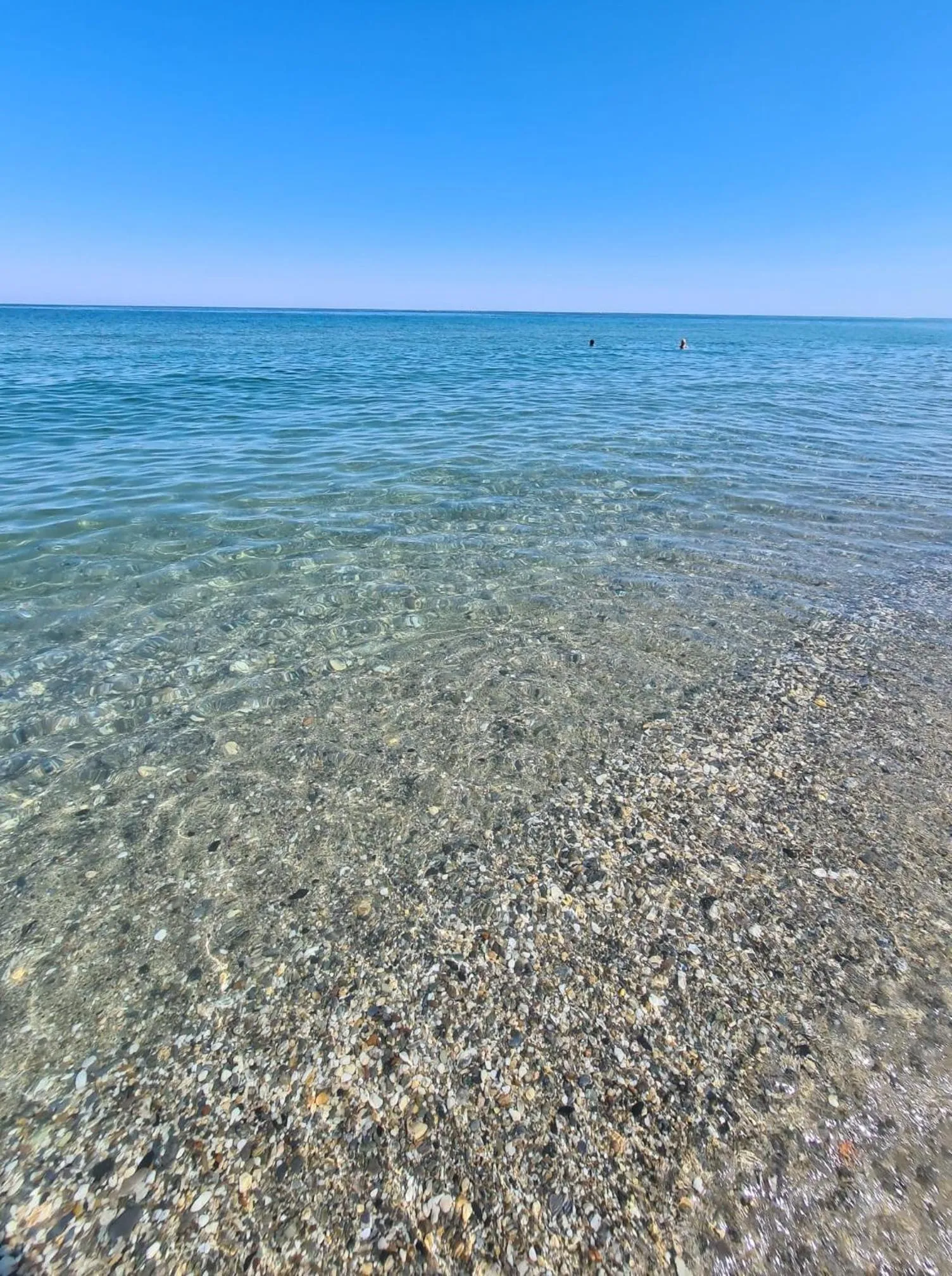 Natural landscape in Pinea Mare