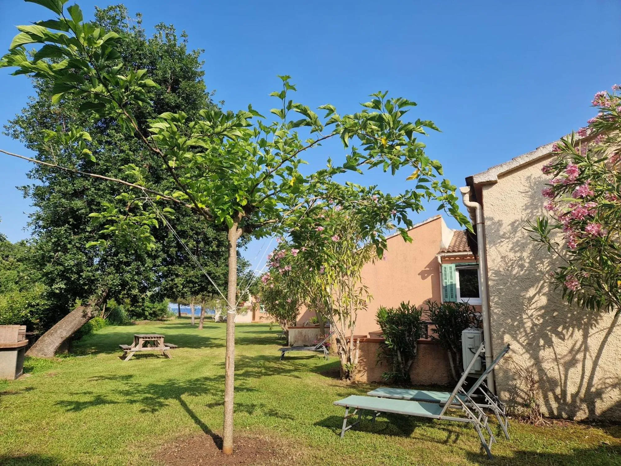 Garden in Pinea Mare