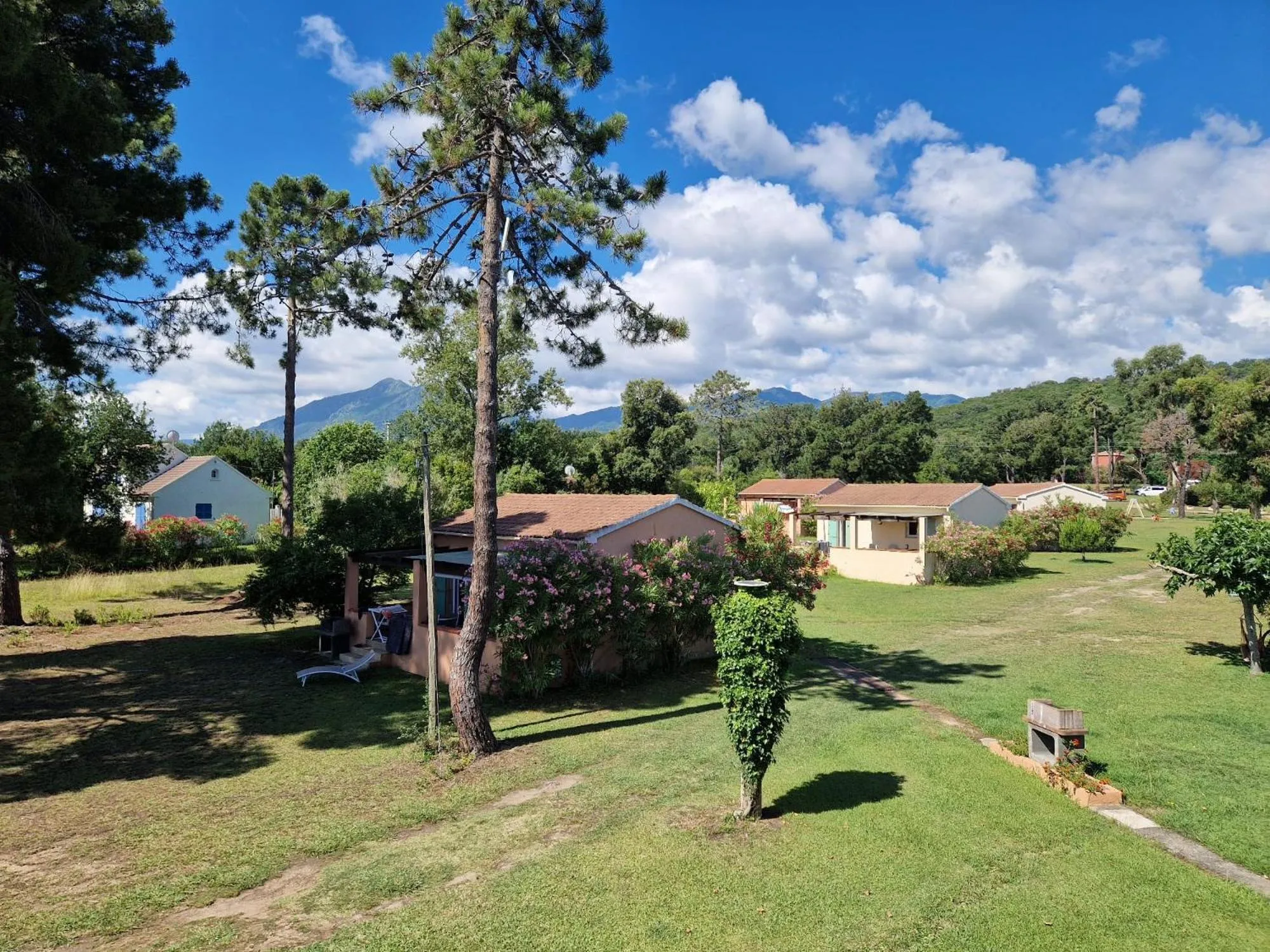 Natural landscape in Pinea Mare