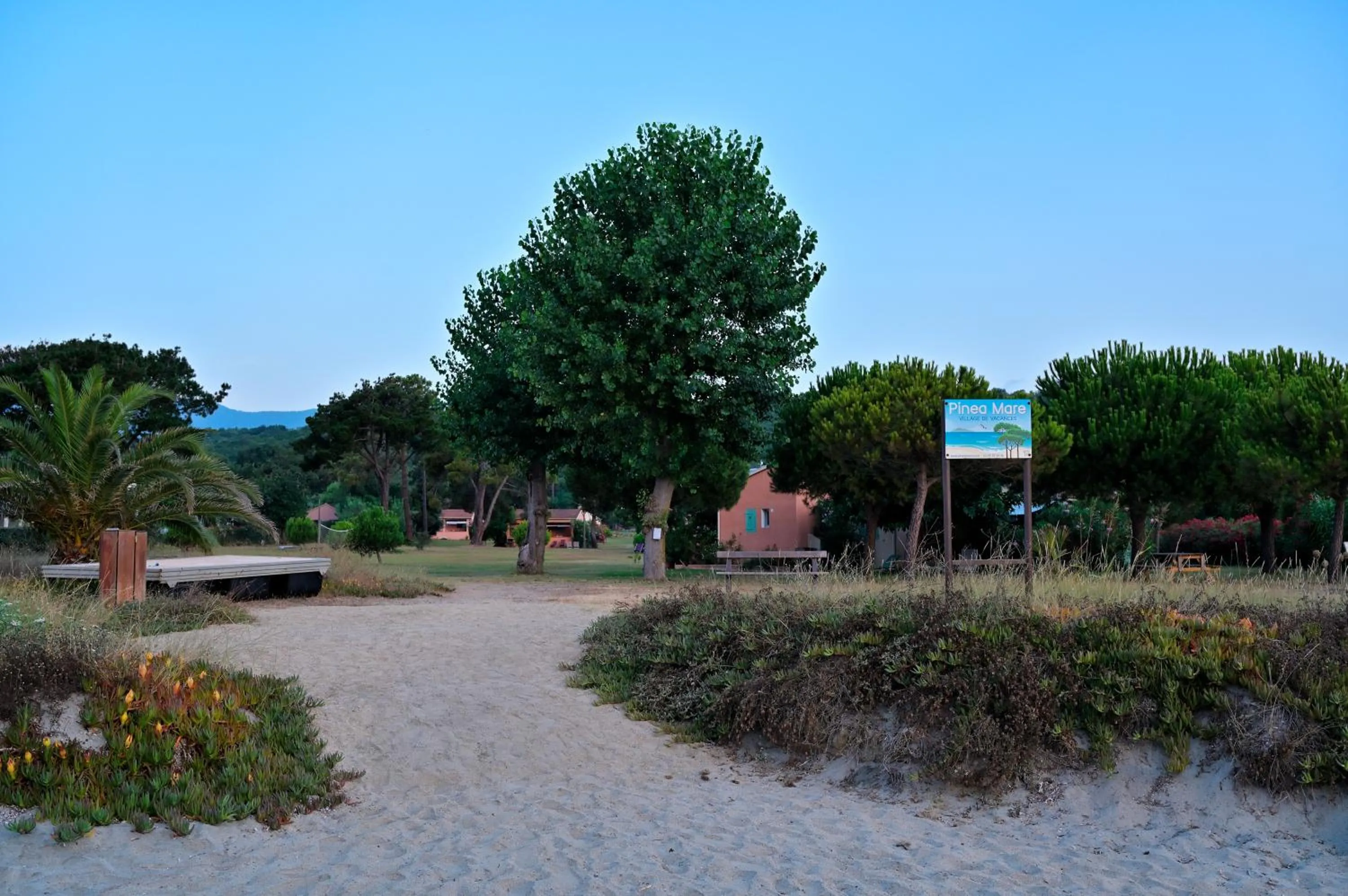 Natural landscape in Pinea Mare