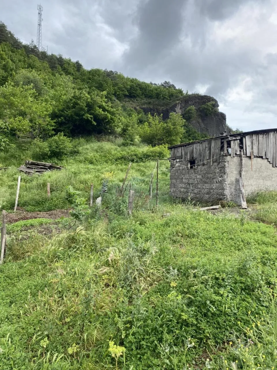 Natural landscape in BLACKLAKE OTEL
