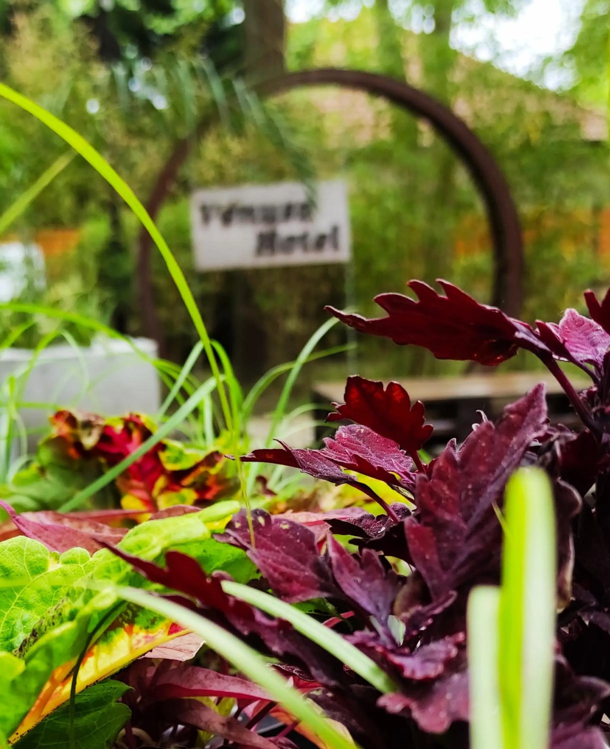 Property building in Vénusz Hotel