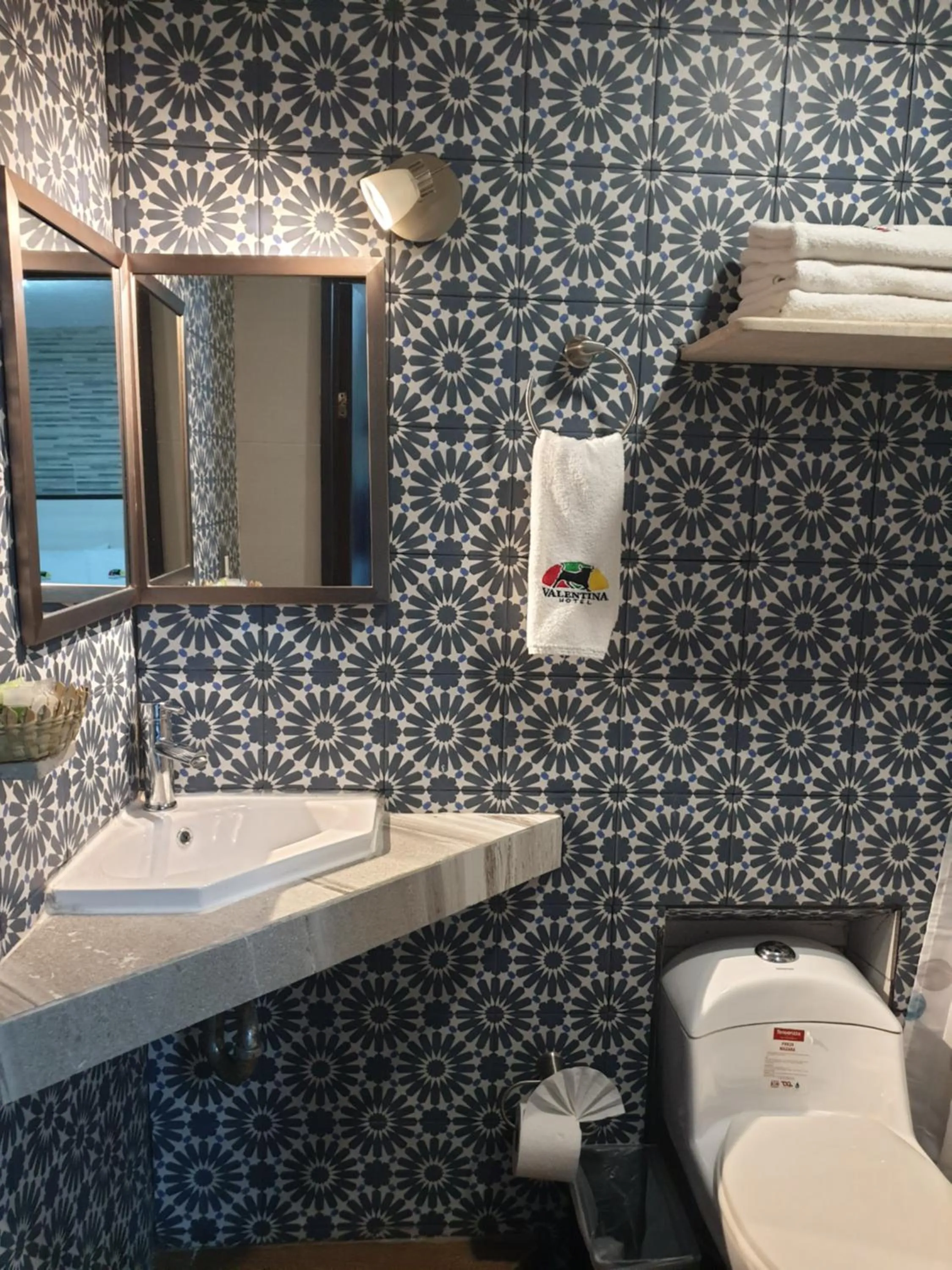 Bathroom in Hotel Don Carlos