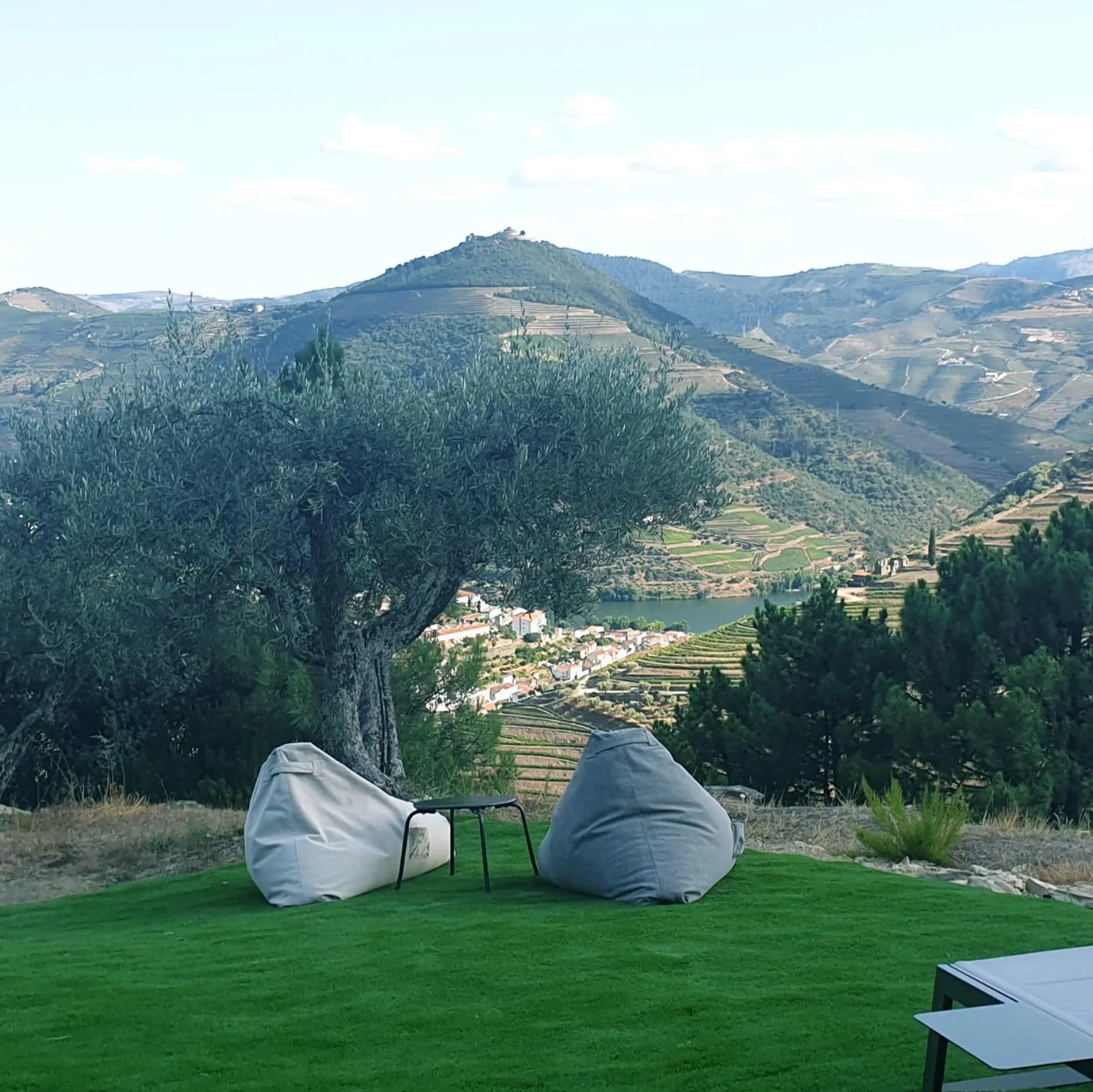 Garden in Casa do Arco by Douro Exclusive