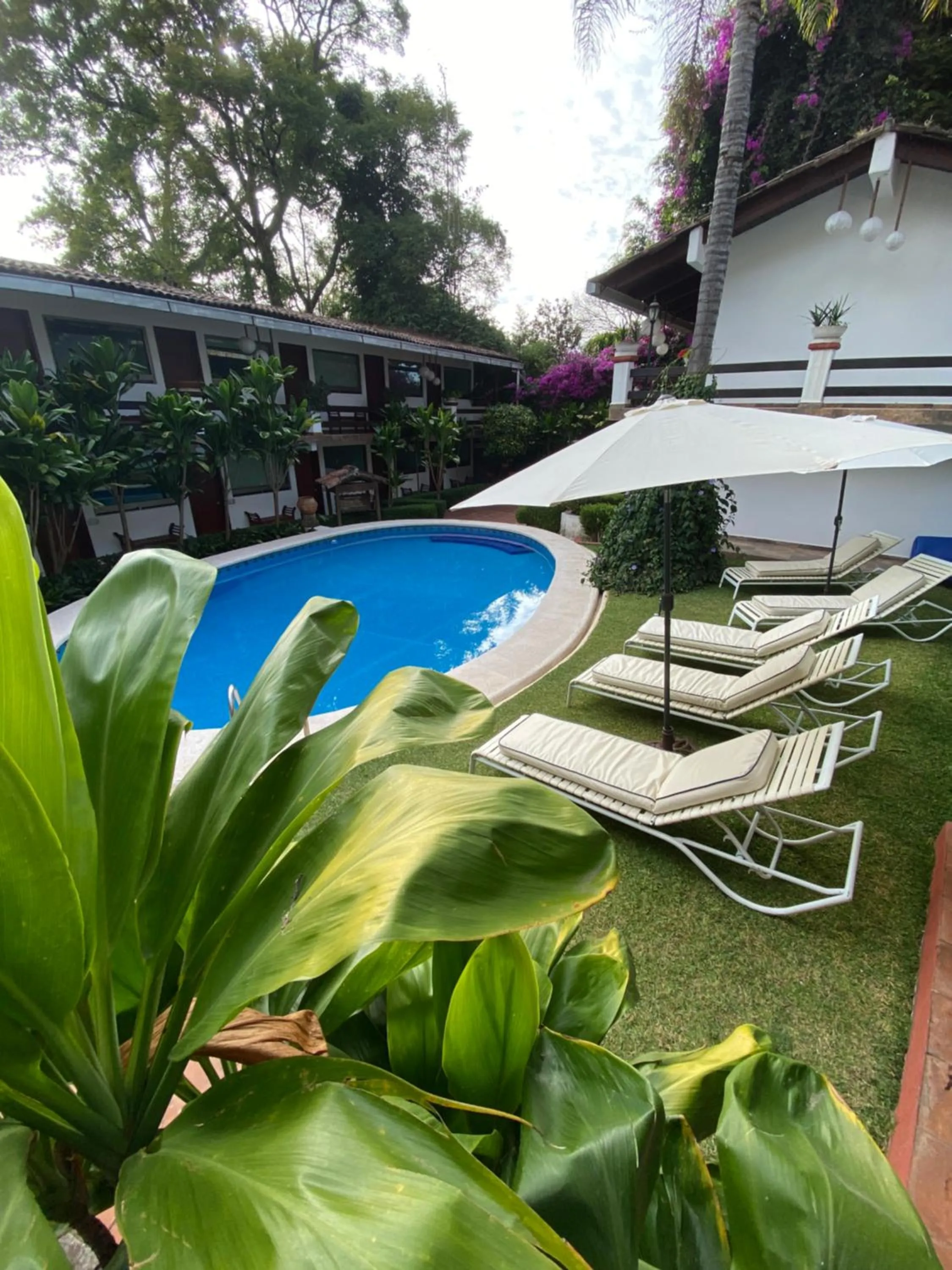 Swimming pool in Casa Dalinda