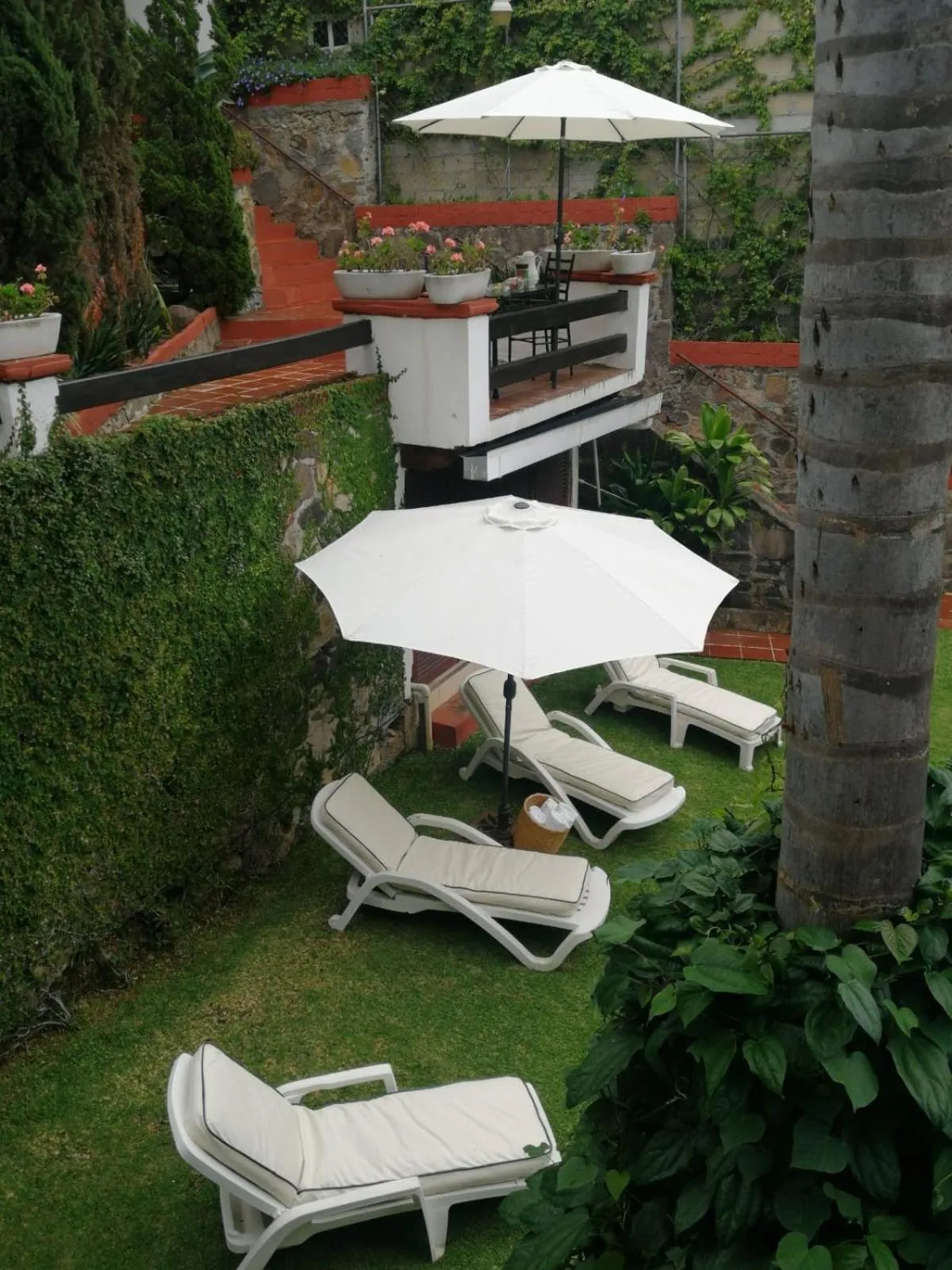 Garden in Casa Dalinda