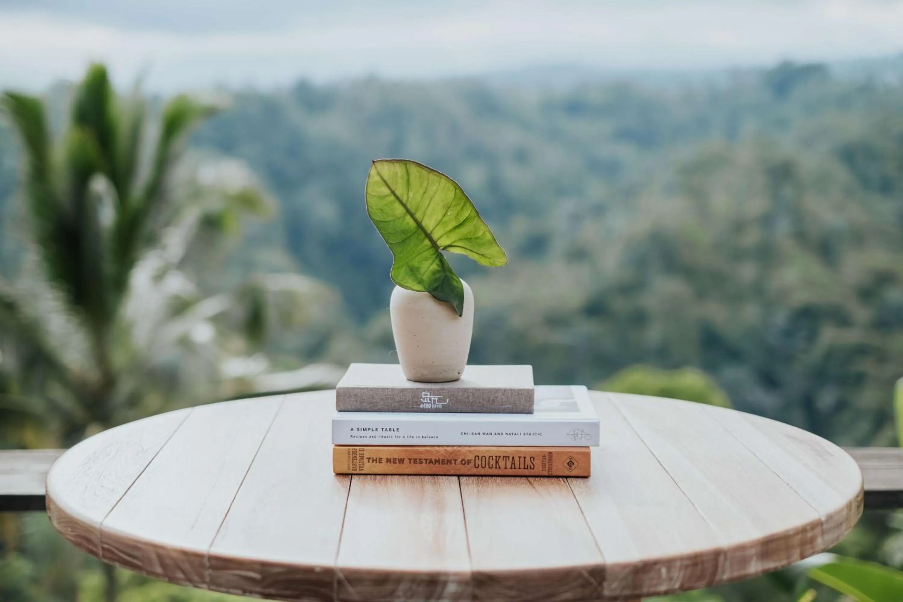 View (from property/room) in Buahan, a Banyan Tree Escape