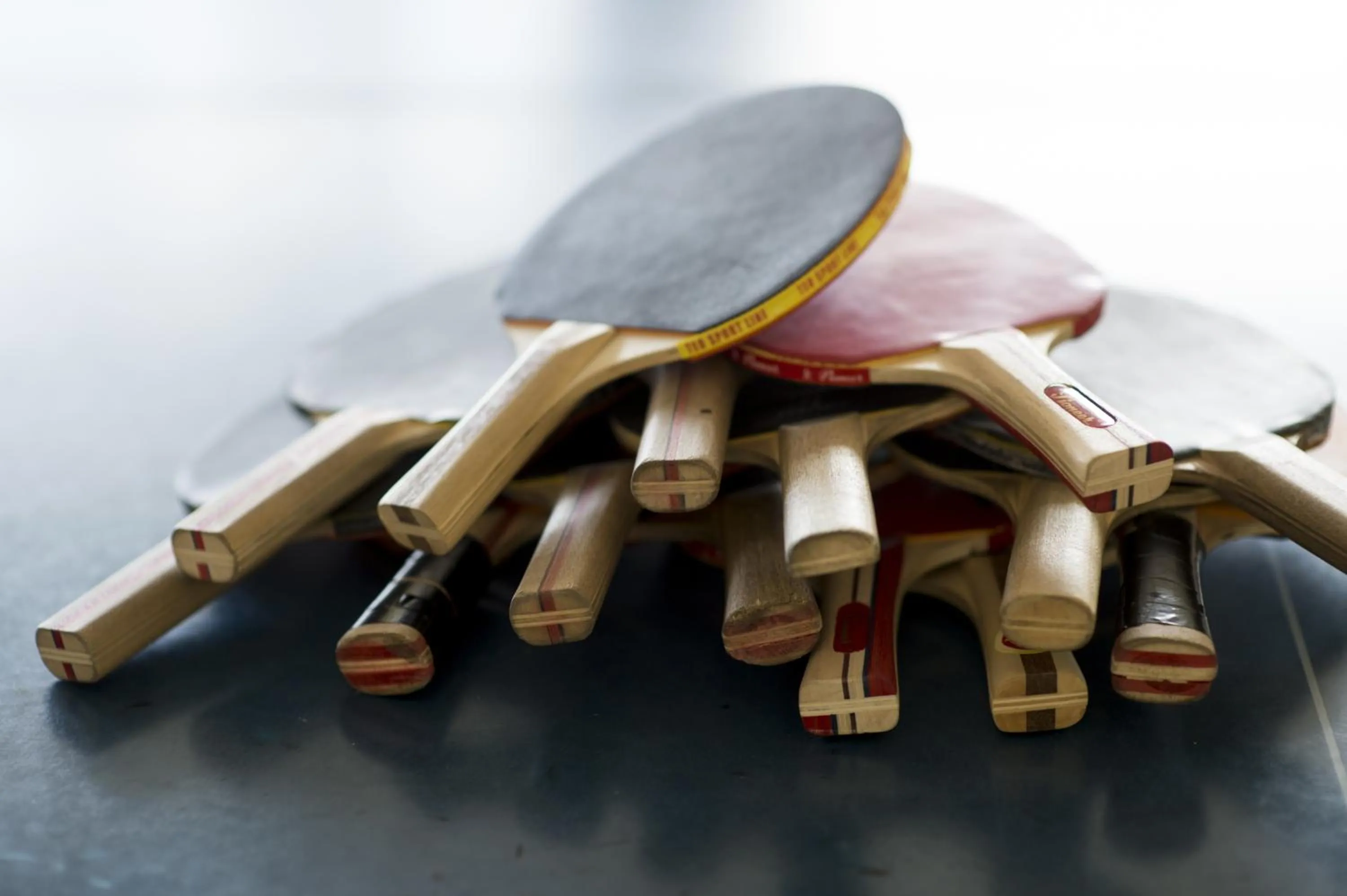 Sports in Hotel Marina Port