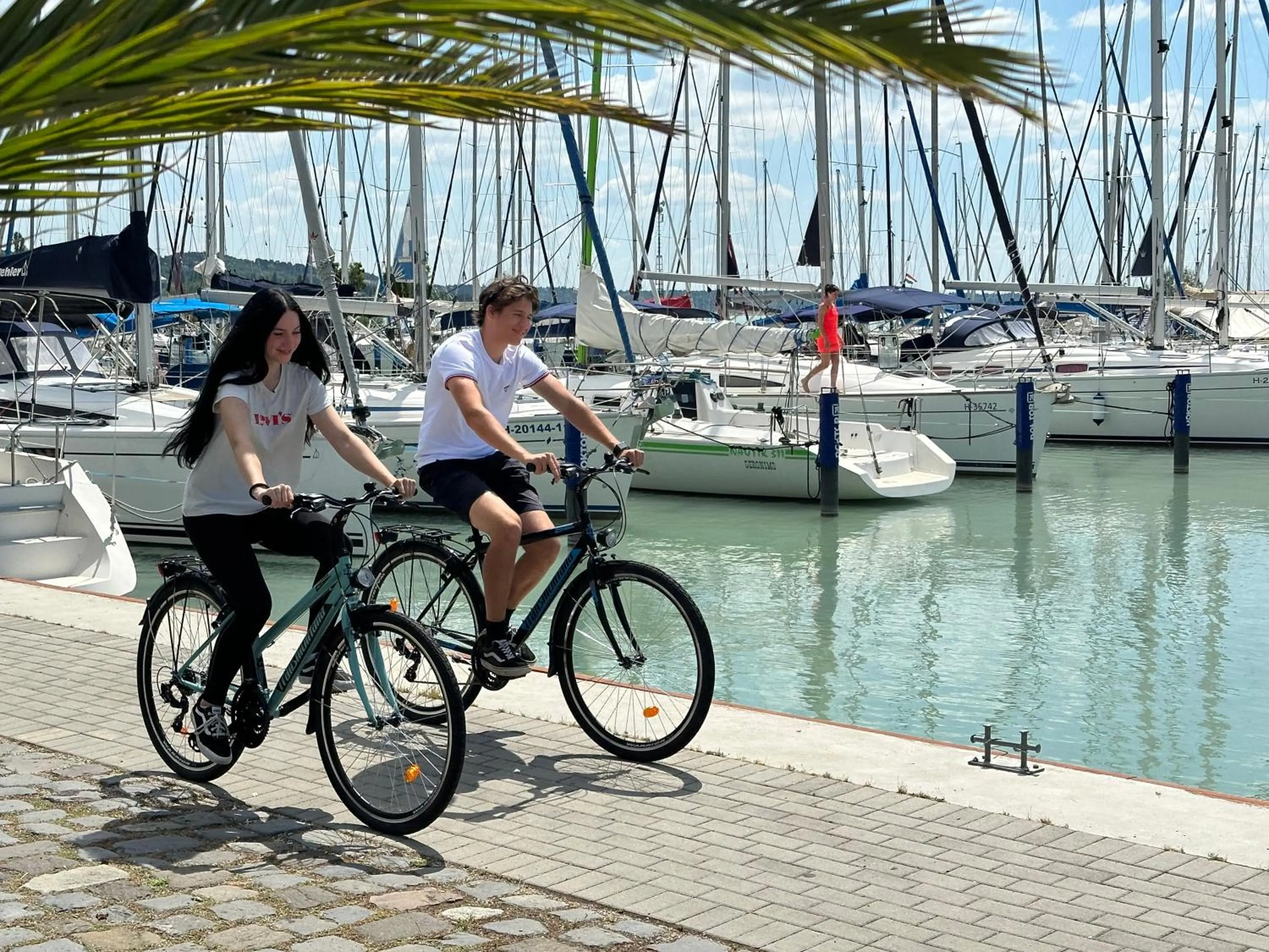 Activities in Hotel Marina Port