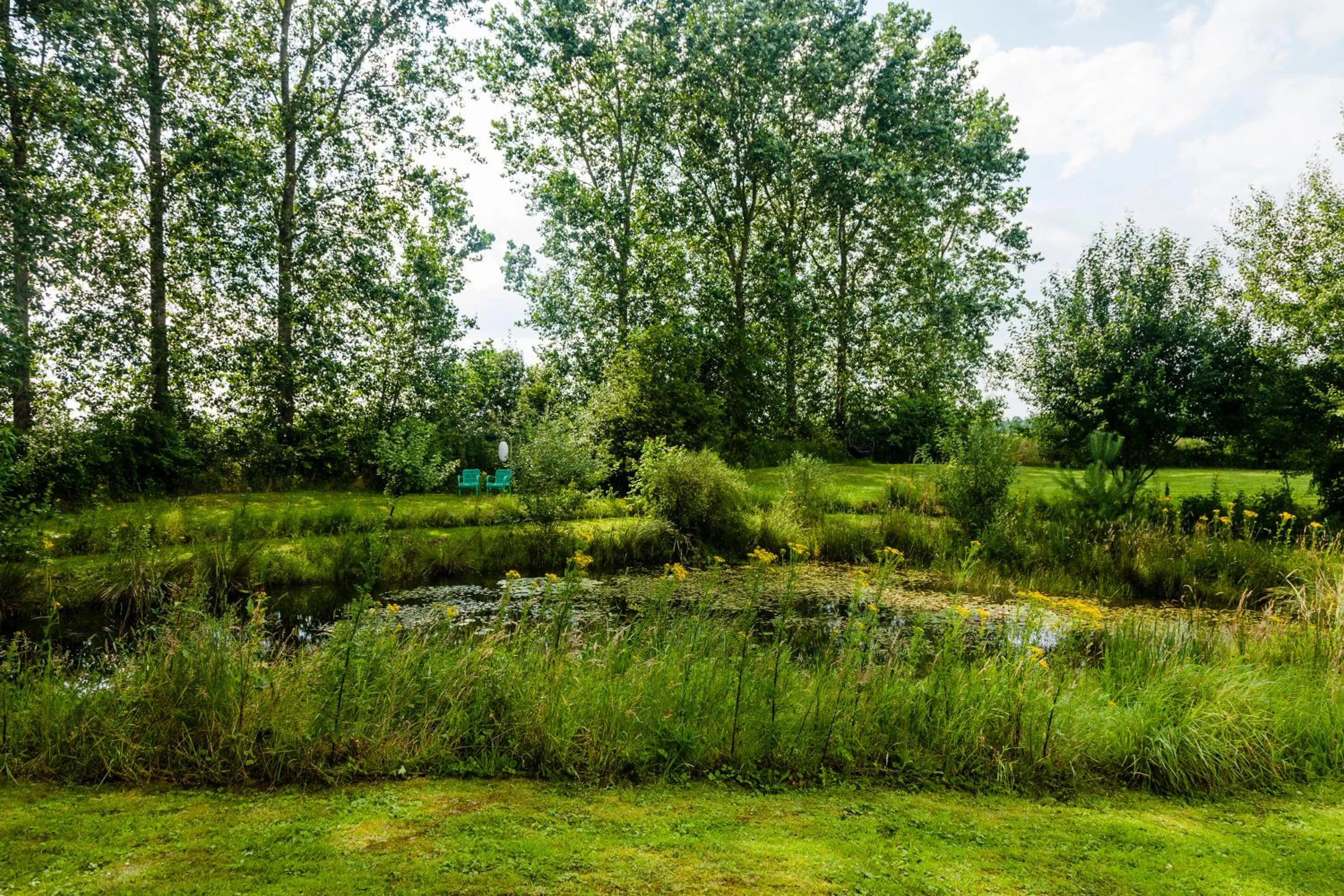 View (from property/room) in B&B Grevenberg