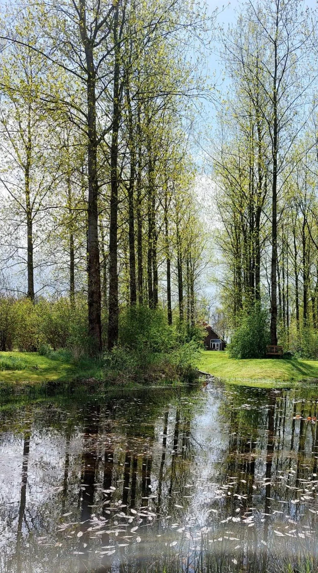 Garden in B&B Grevenberg