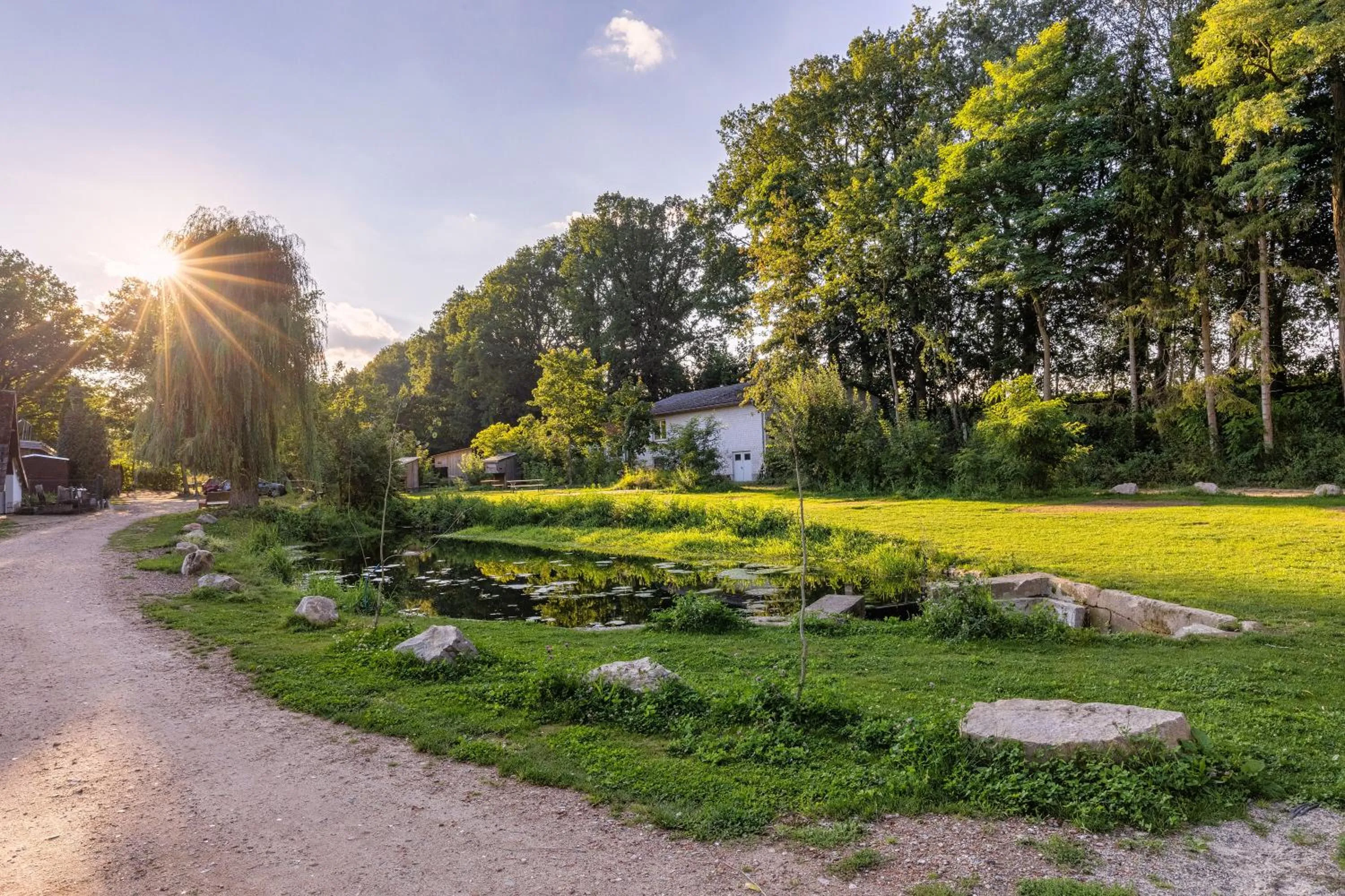 Other in Hotel 11 Eulen