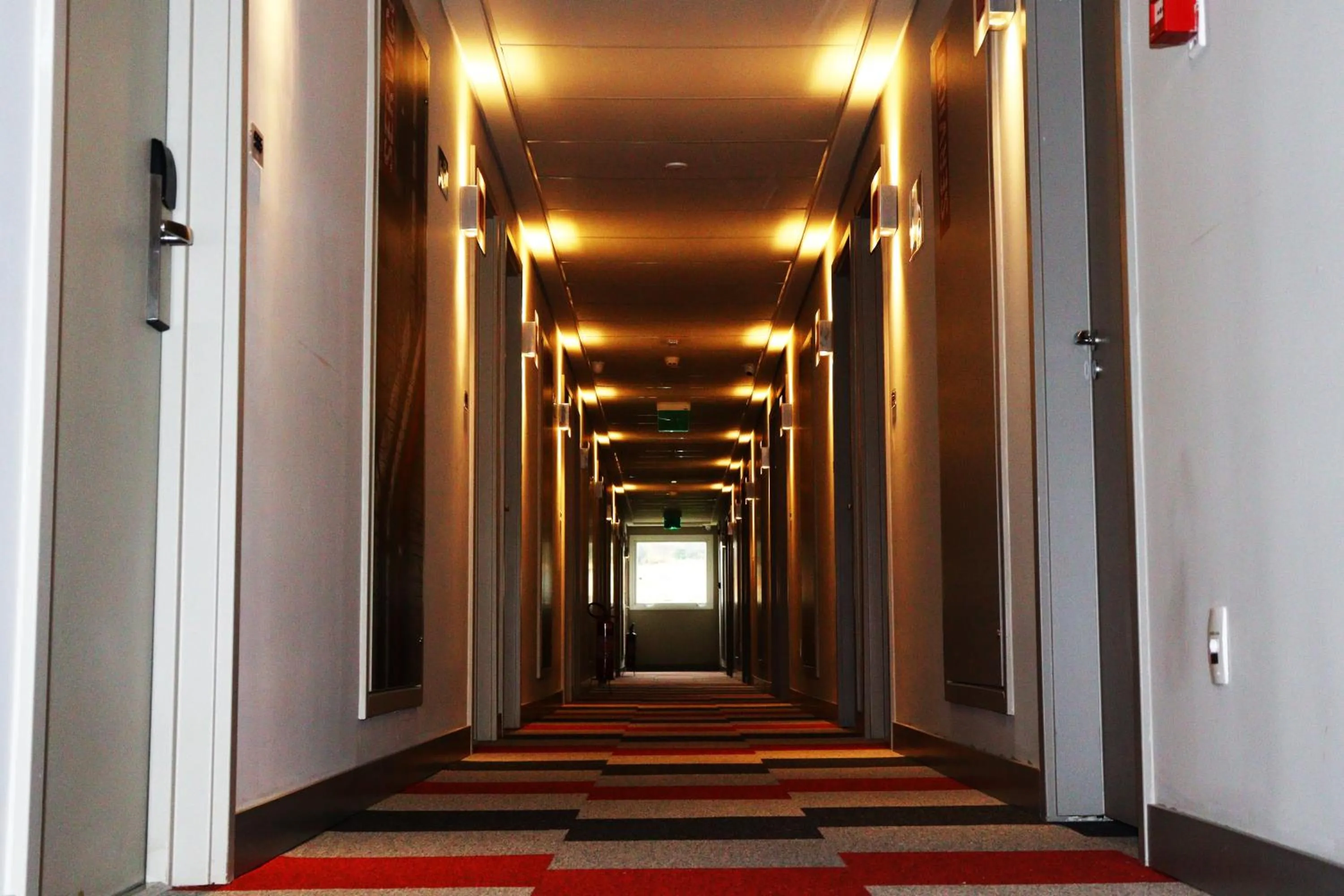 Other in Ibis Guaxupe