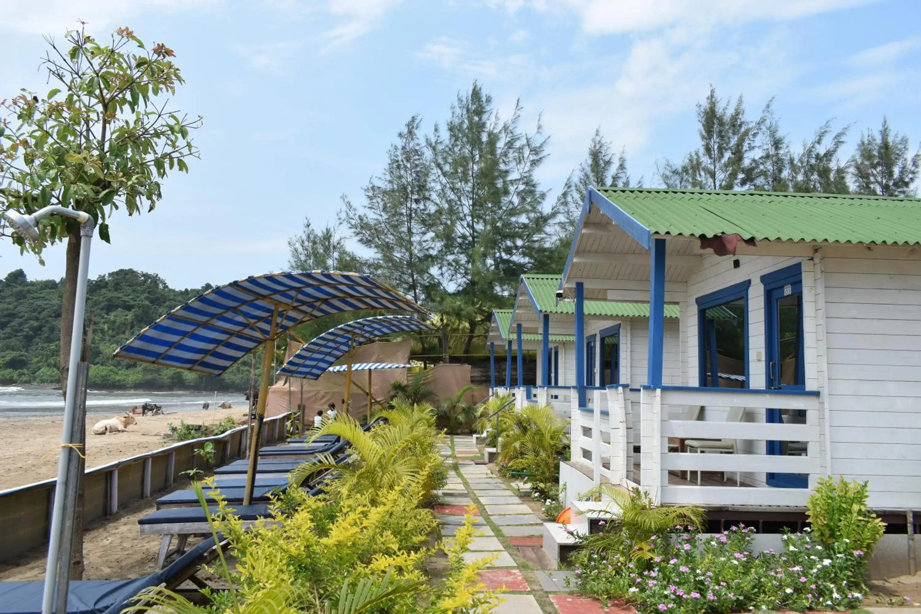 Garden in Agonda island view Garden in Agonda island view