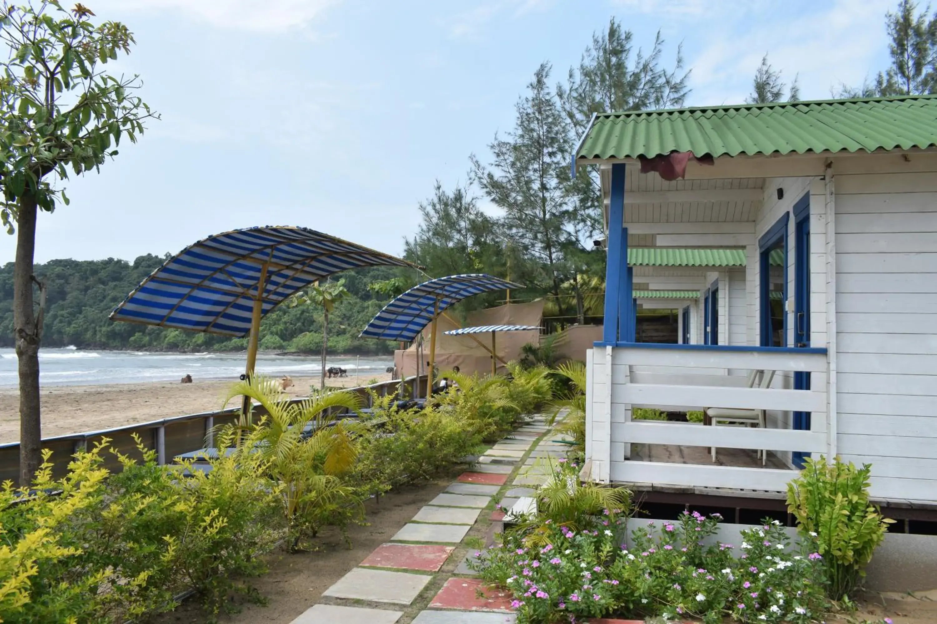 Garden view in Agonda island view Garden view in Agonda island view