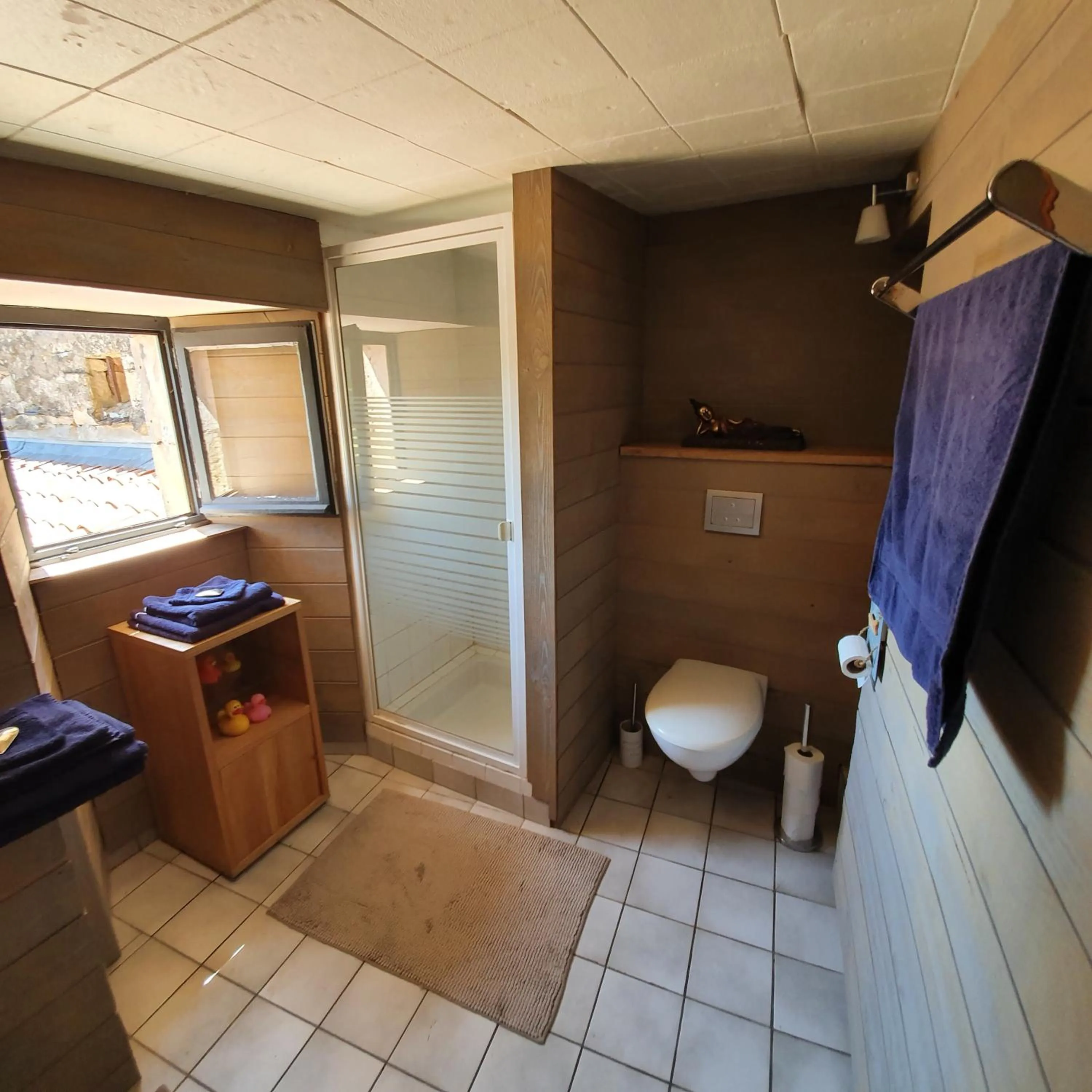 Shower in Maison Fossemagne