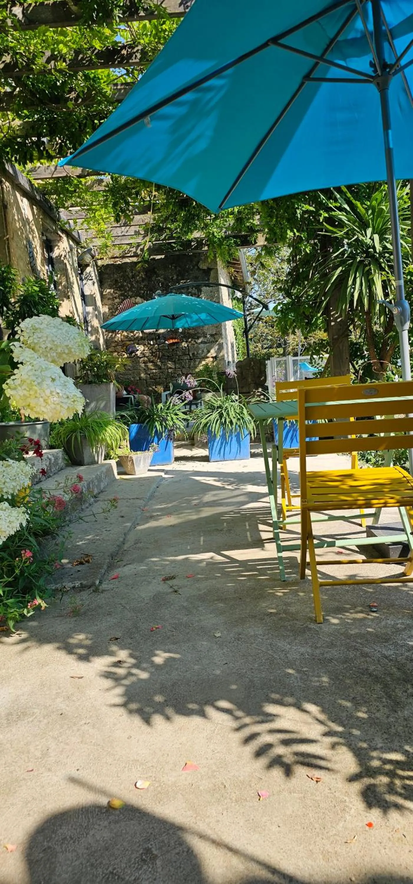 Garden in Maison Fossemagne